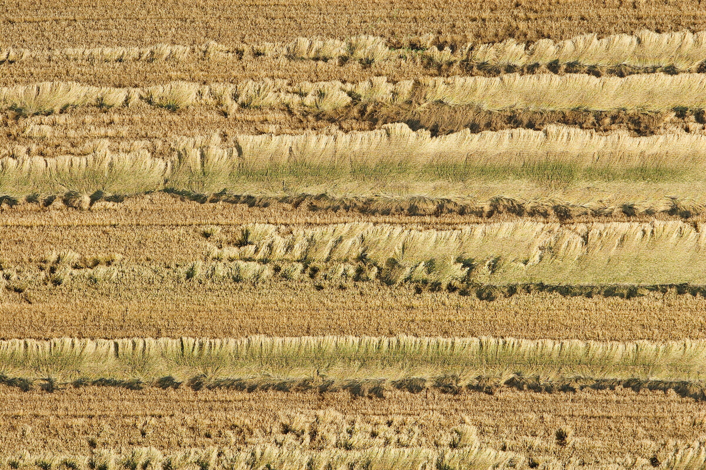 Fields with storm signs