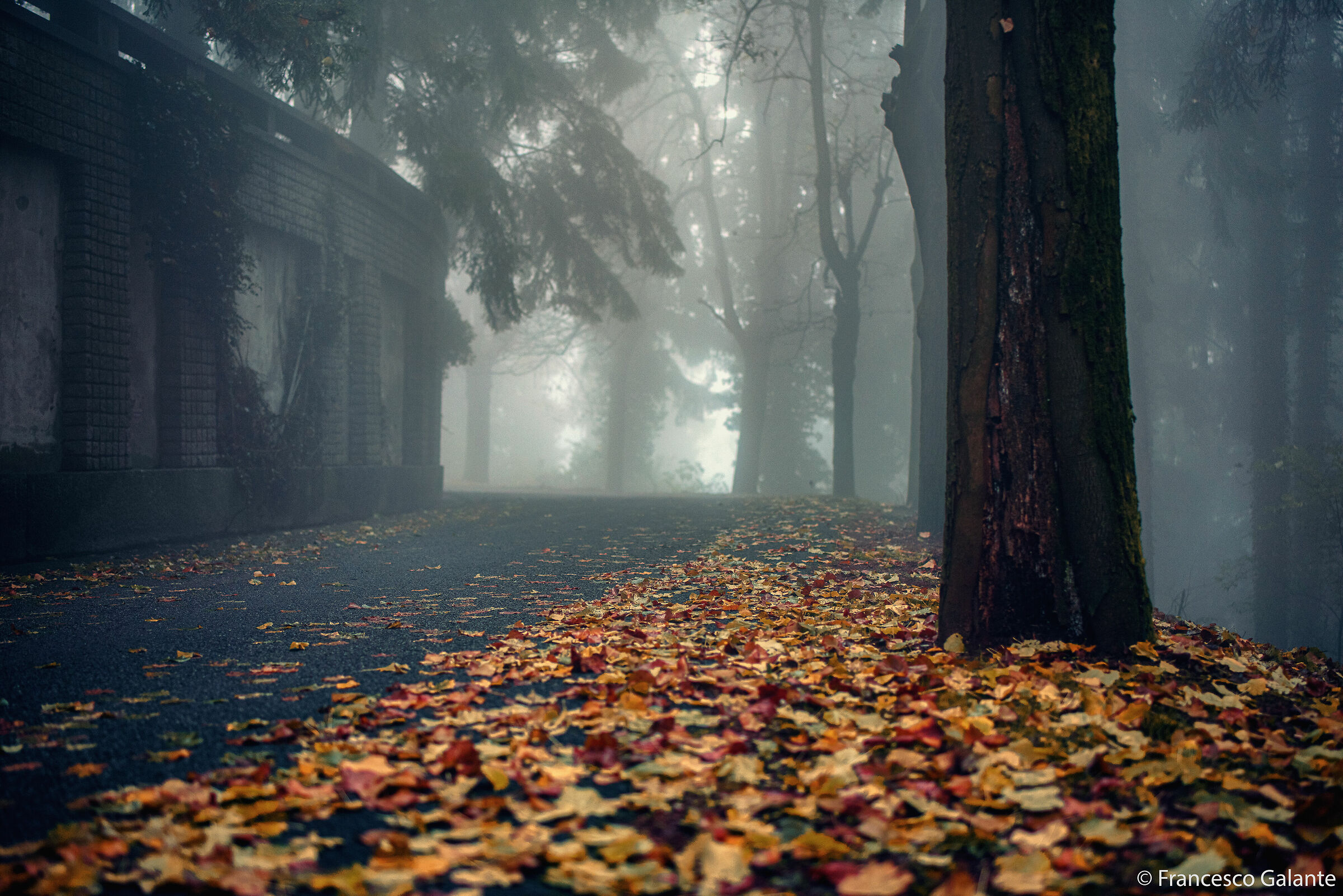 Oasi Zegna Bielmonte 5