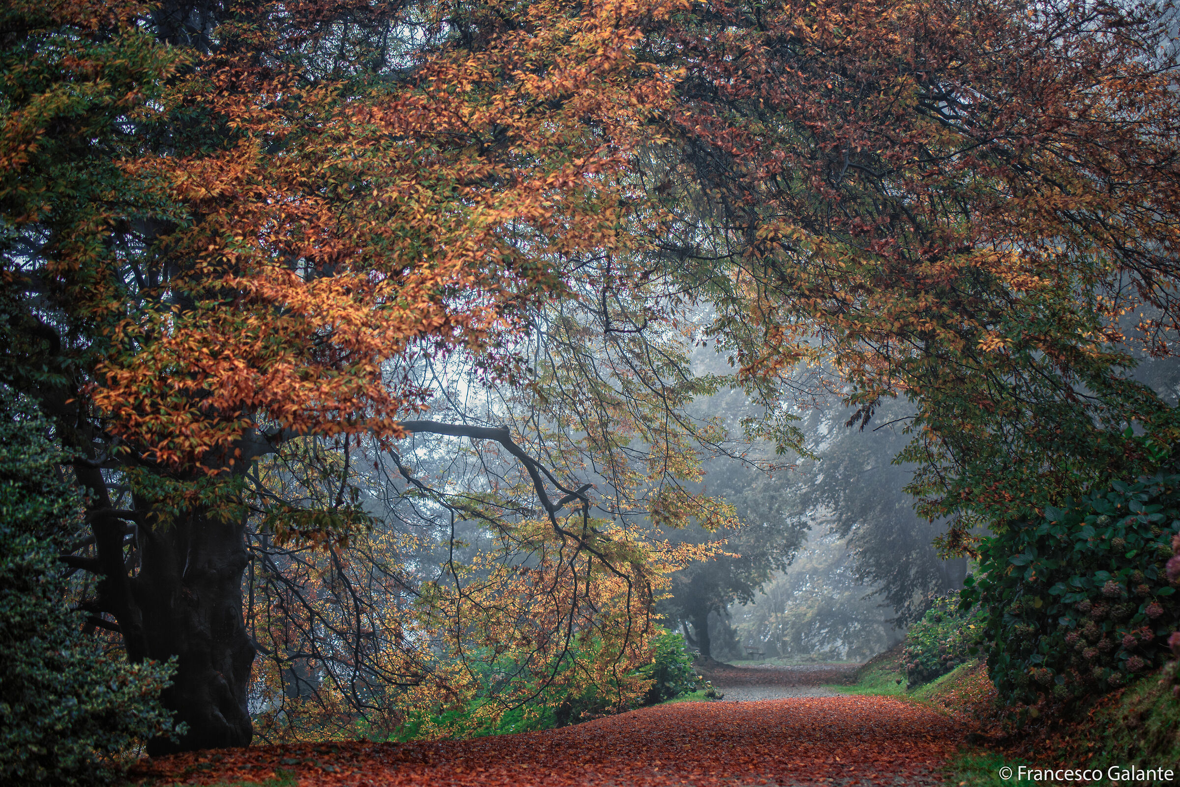 Pollone - Parco della Burcina 3