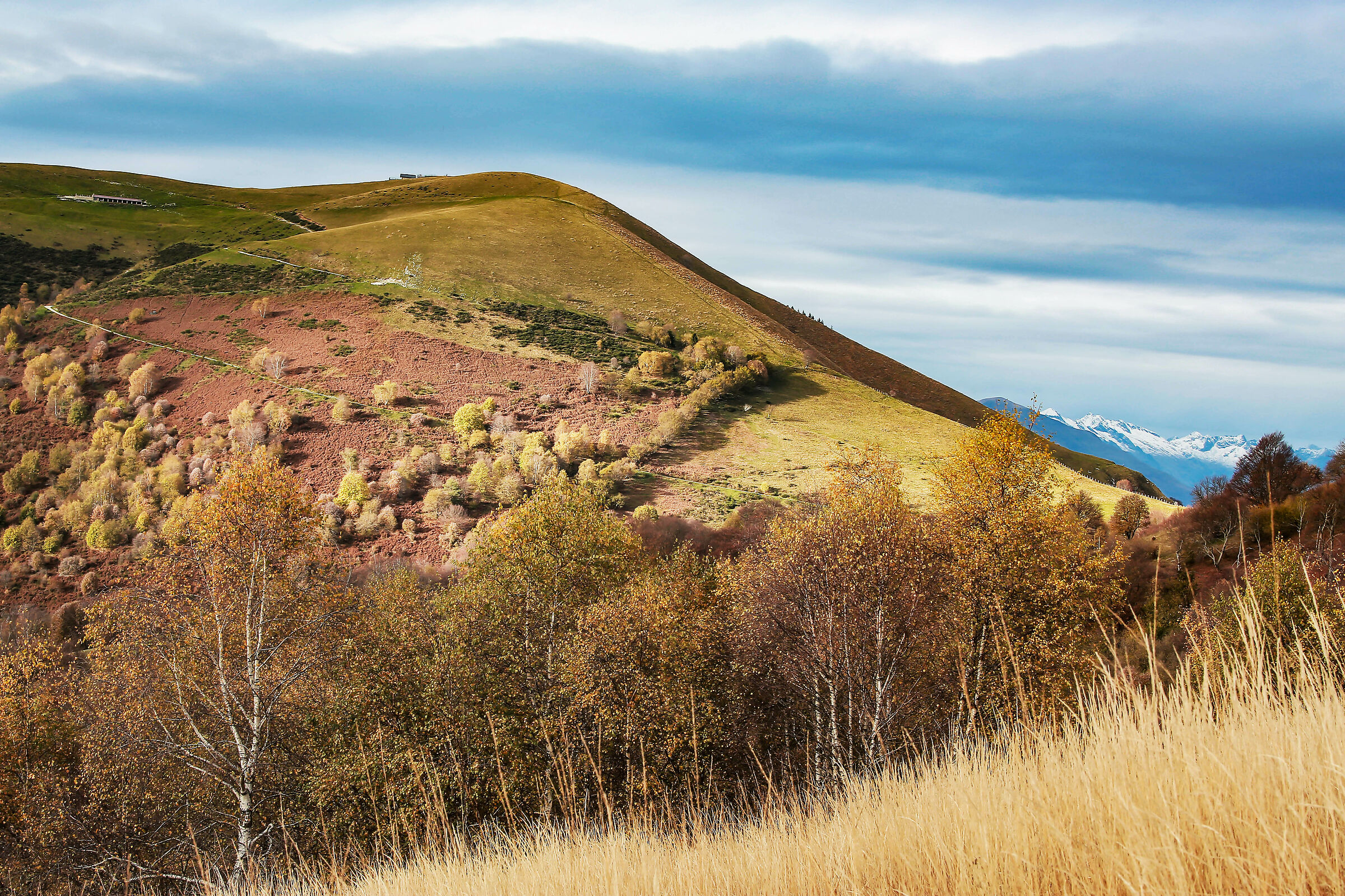 intensita' autunnale