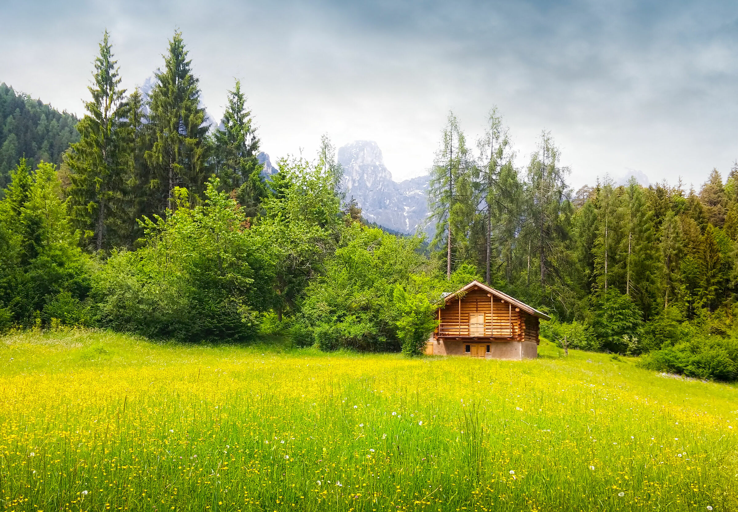 La casetta nel prato