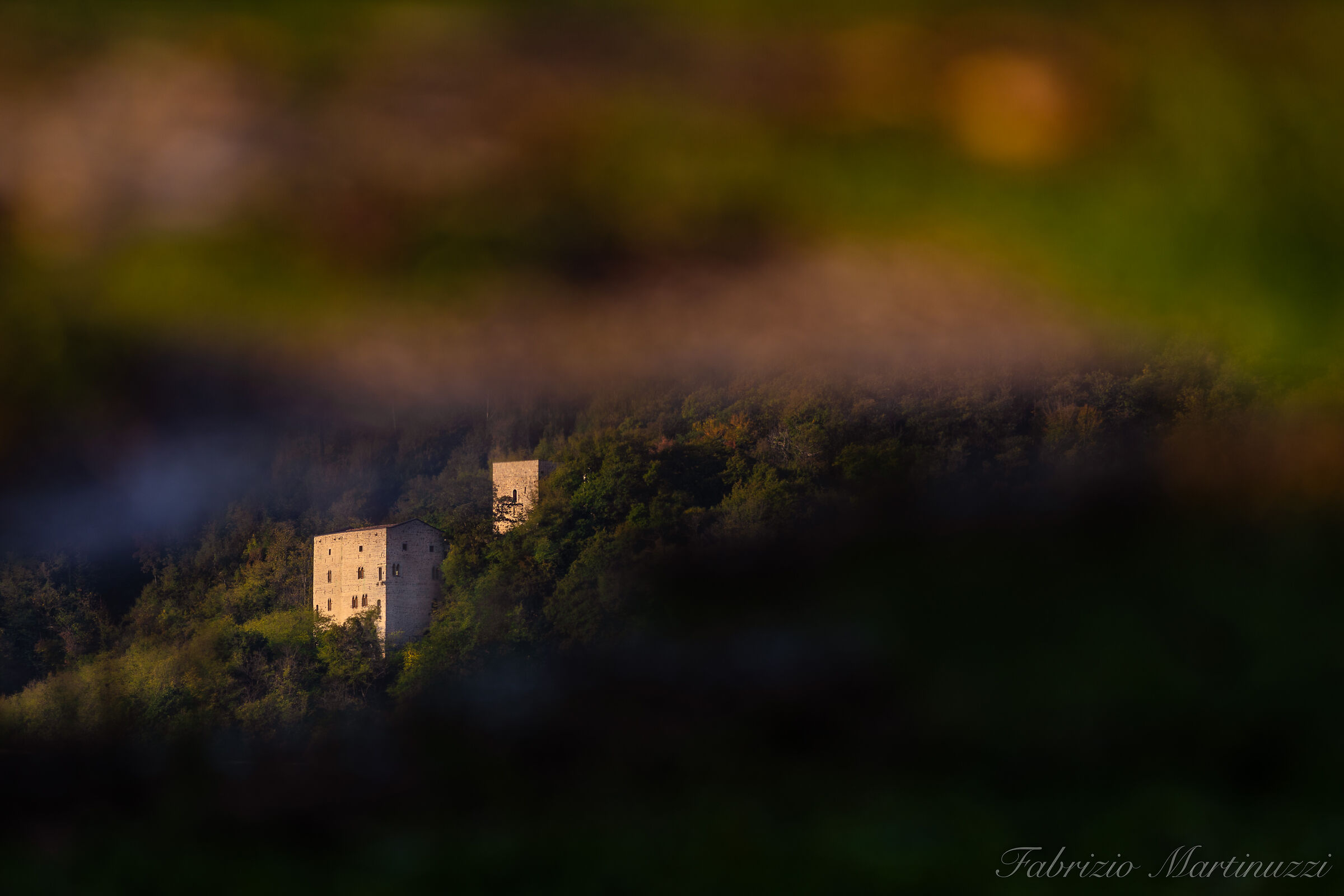 The reflections of a puddle
