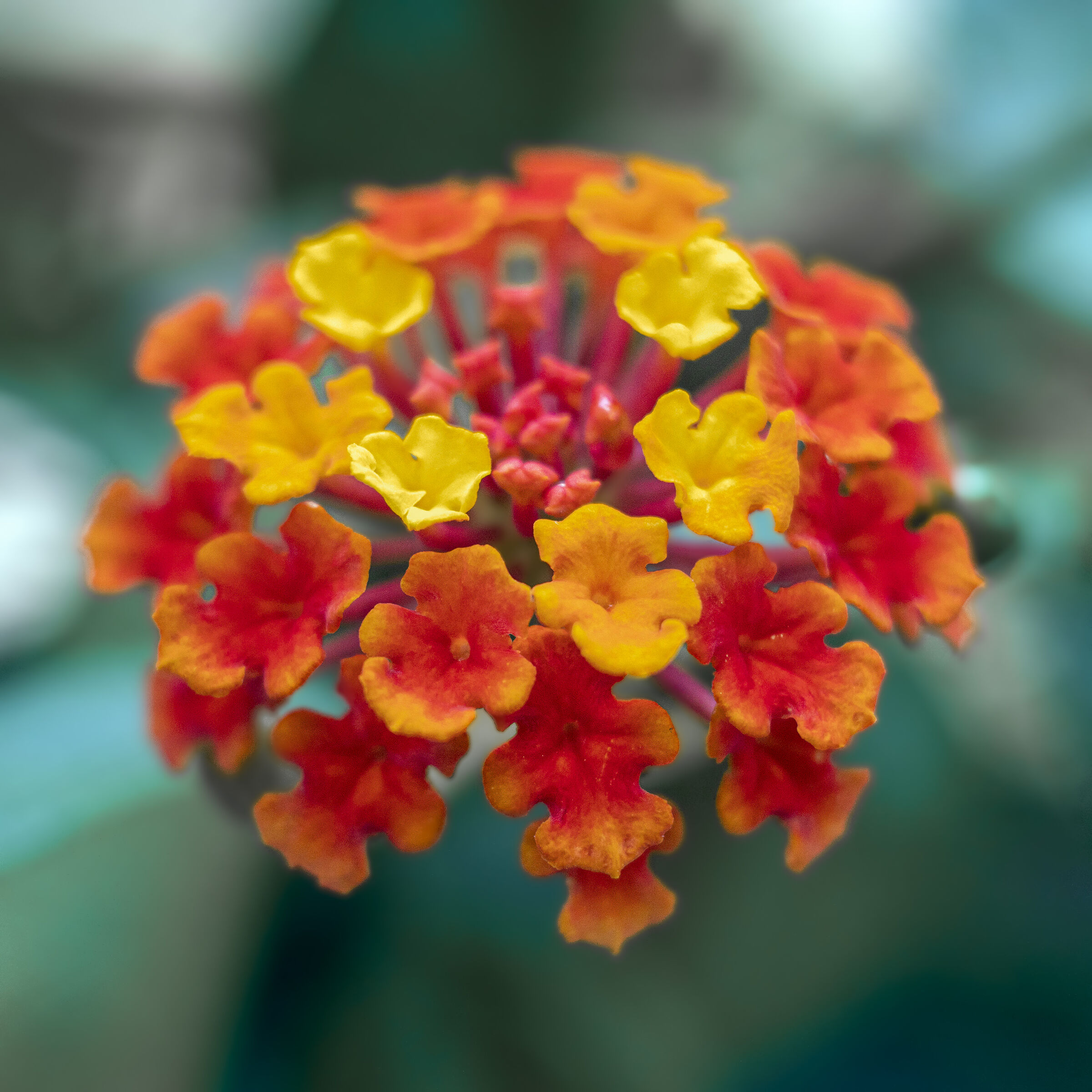 Untitled Photo