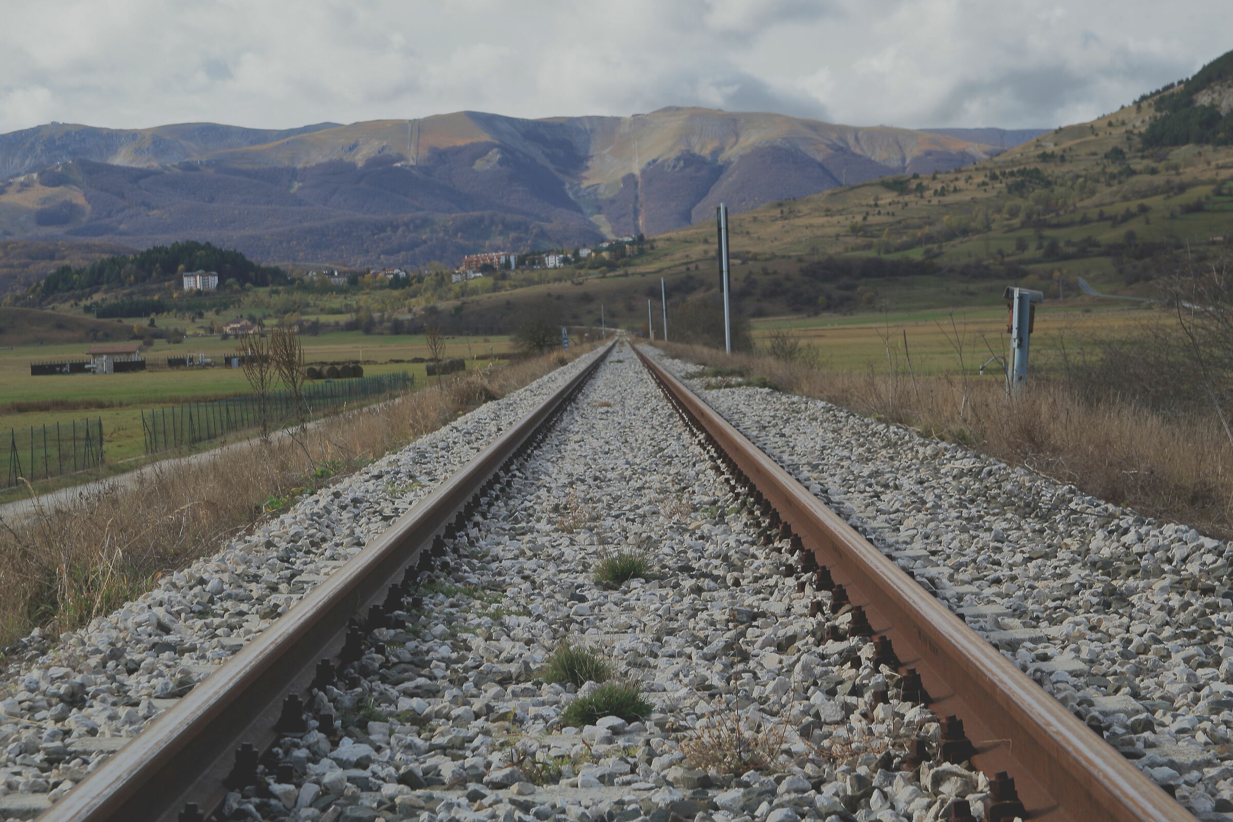 e a rotaie implacabili per nessun dove (cit.)