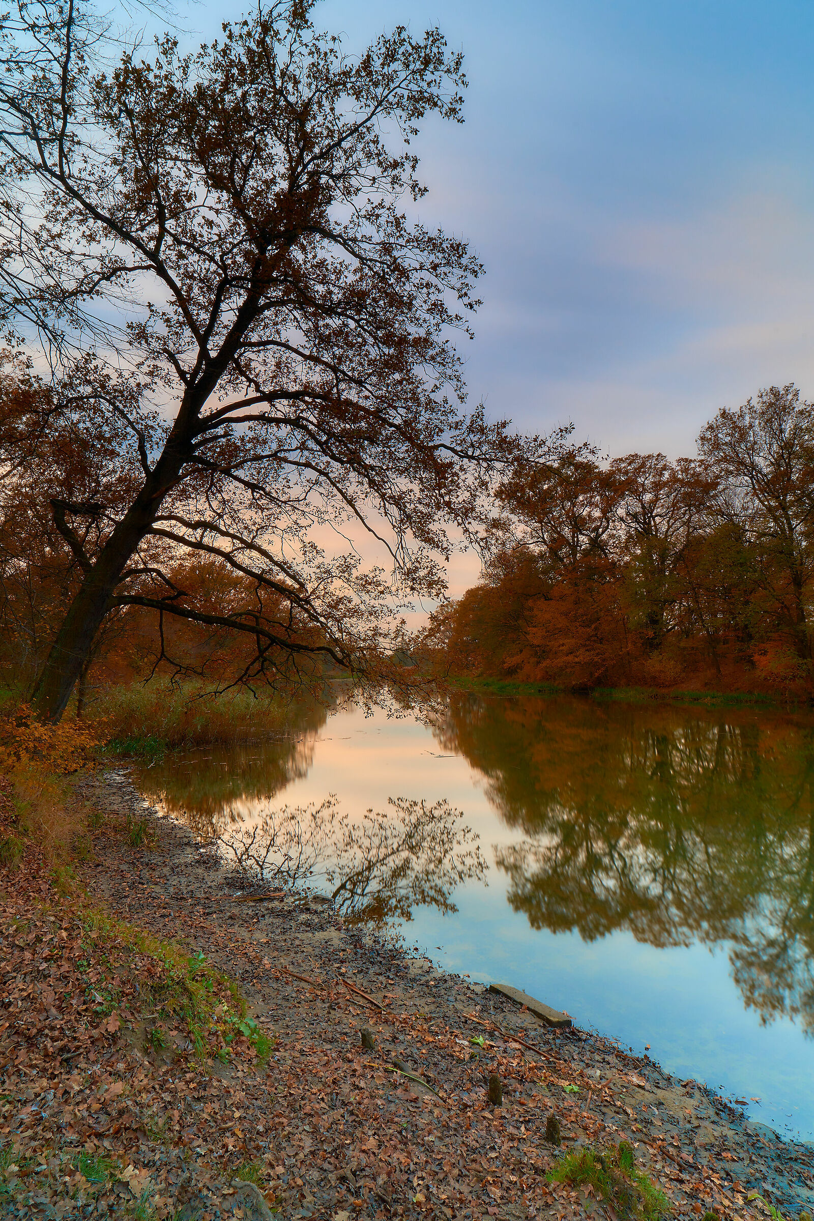 Il fiume Olawa a Wroclaw