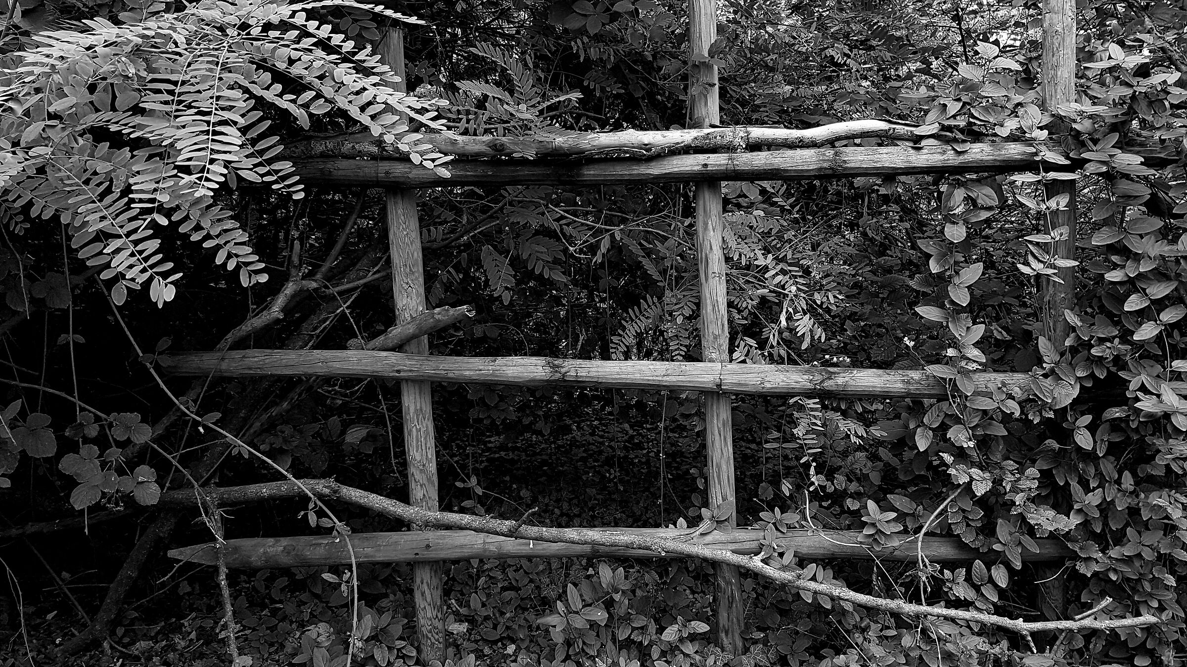 Torbiere del Sebino 2