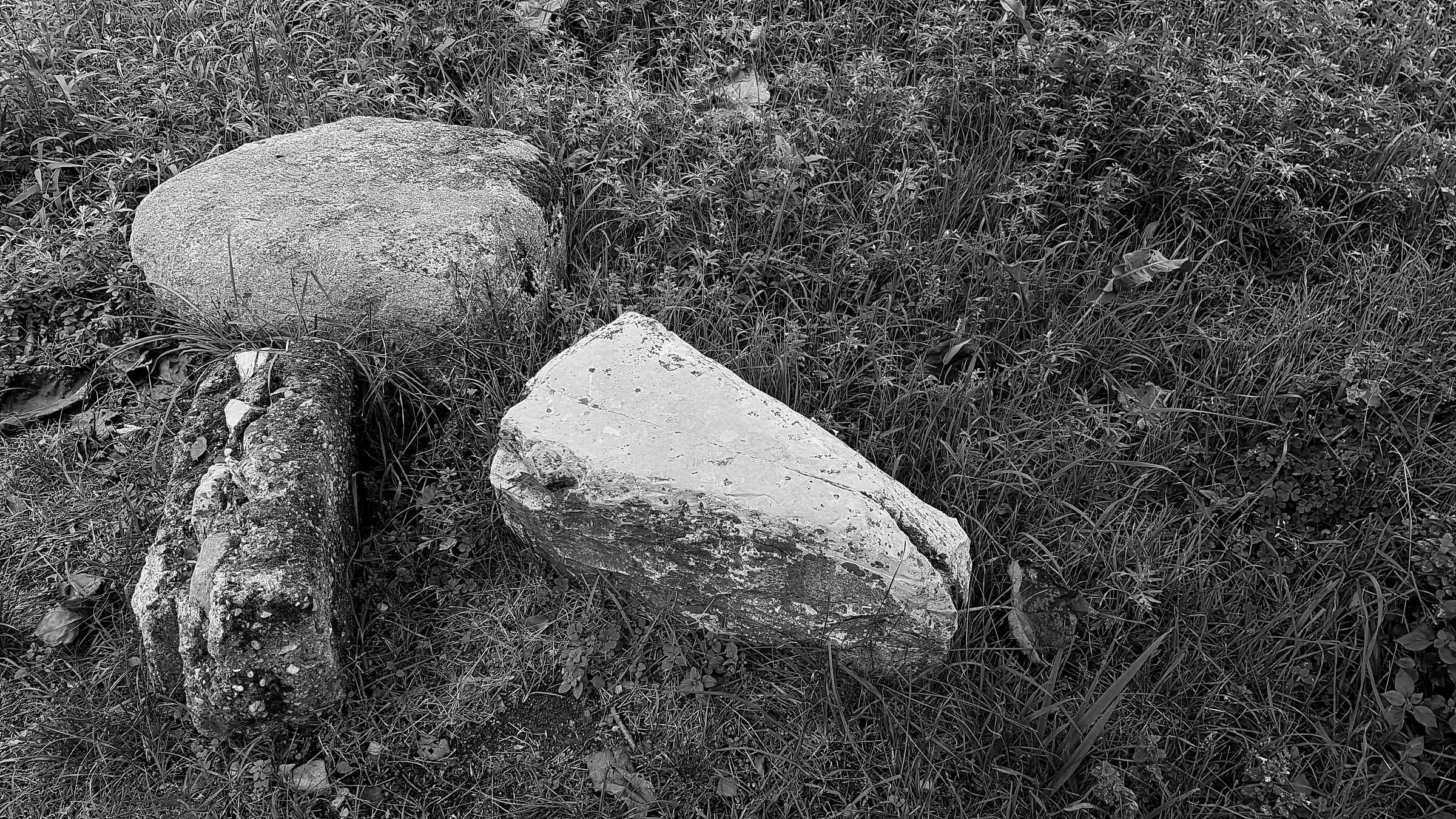 Torbiere del Sebino 6