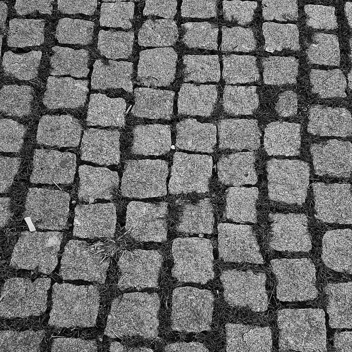 Torbiere del Sebino 7