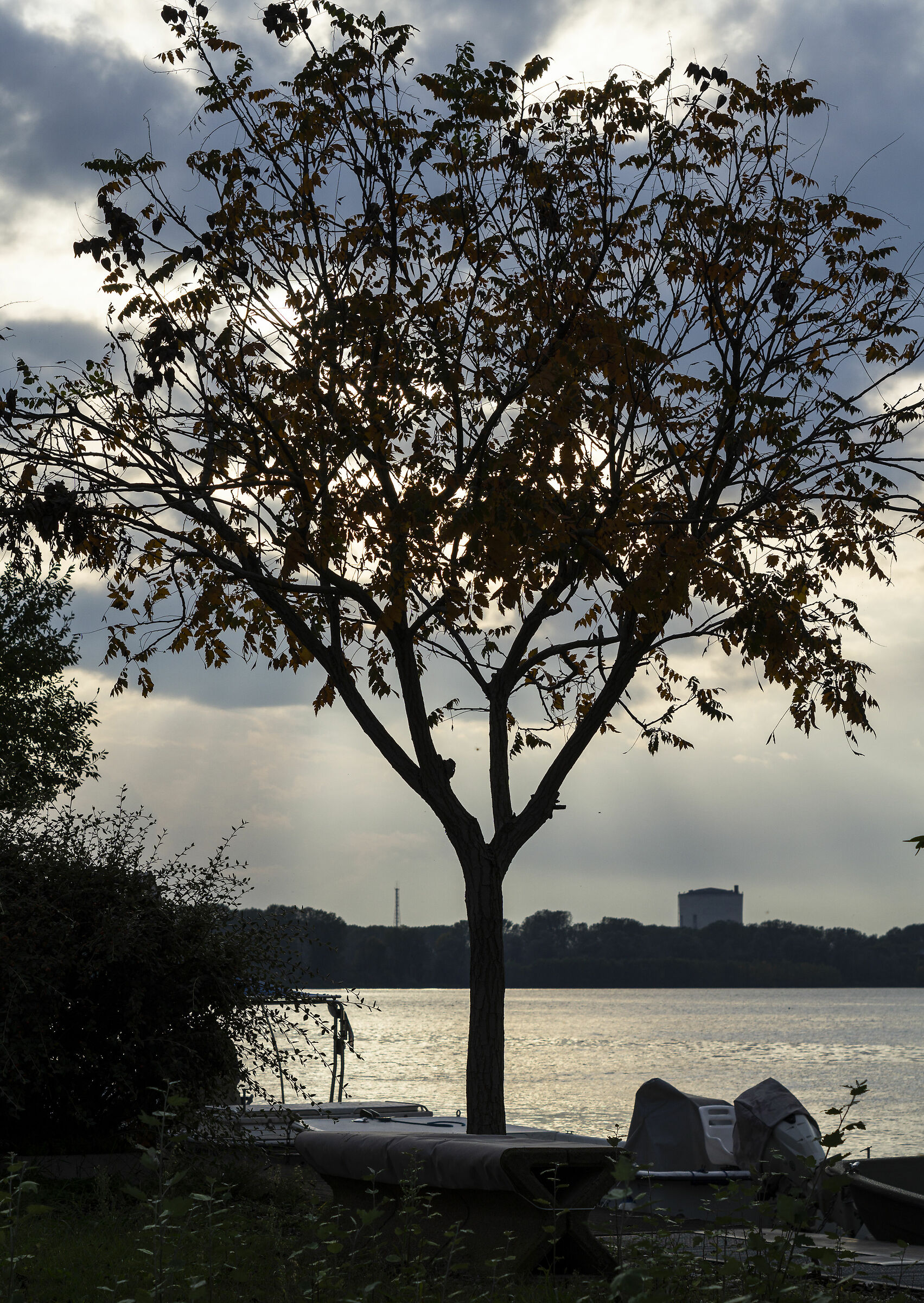 Silhouette on the Po