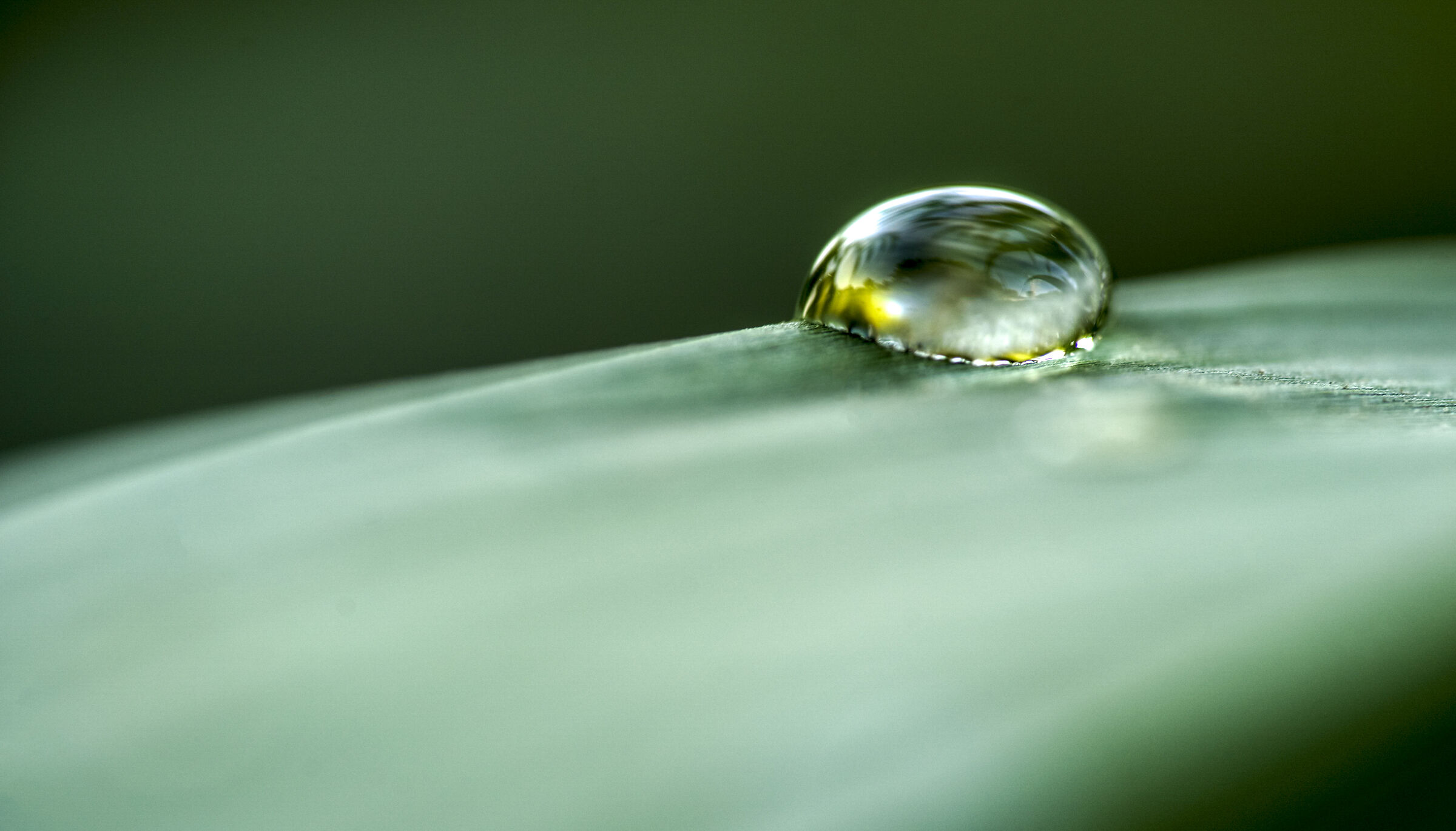 Drop