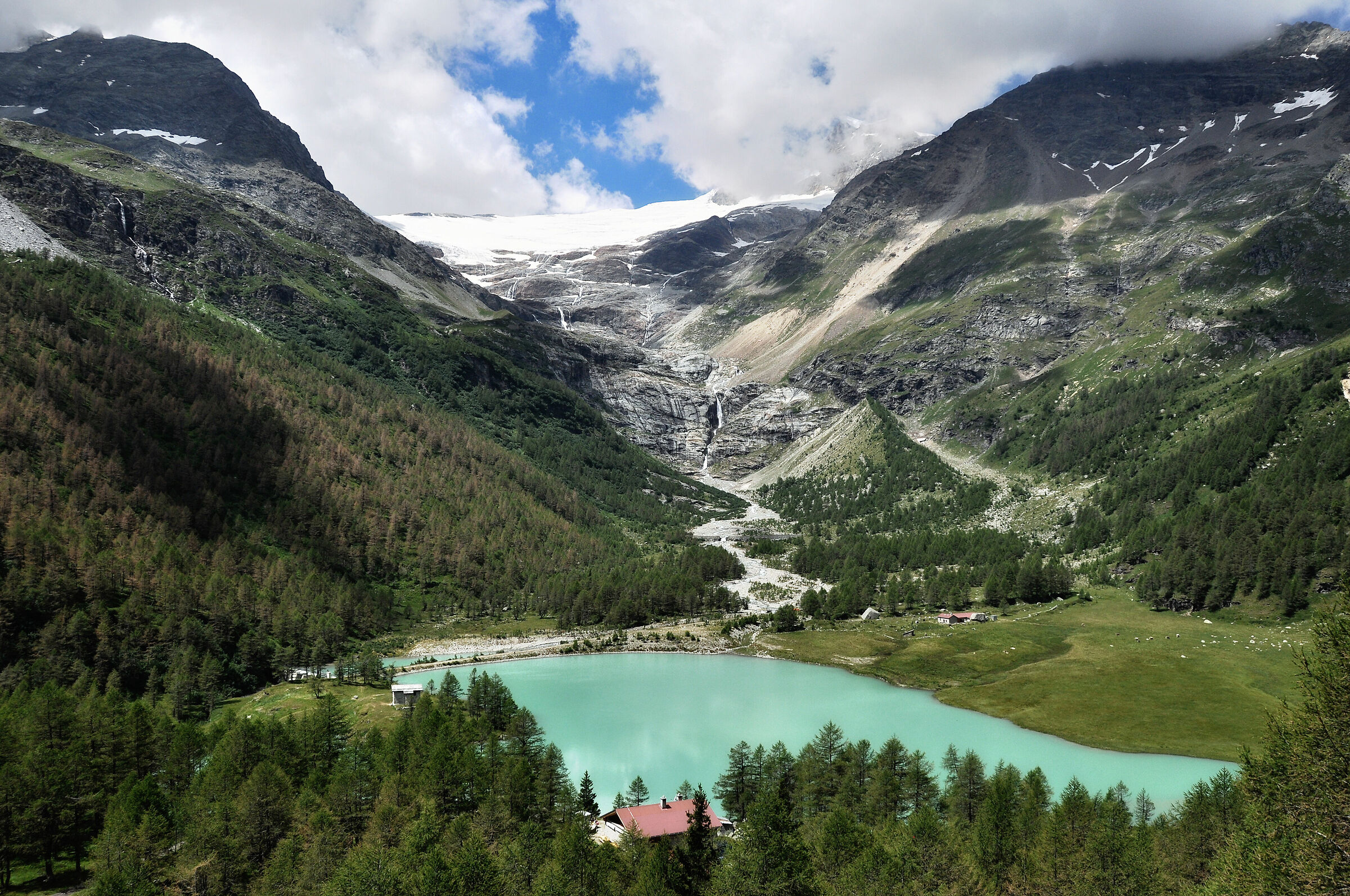 Lagobianco del Bernina