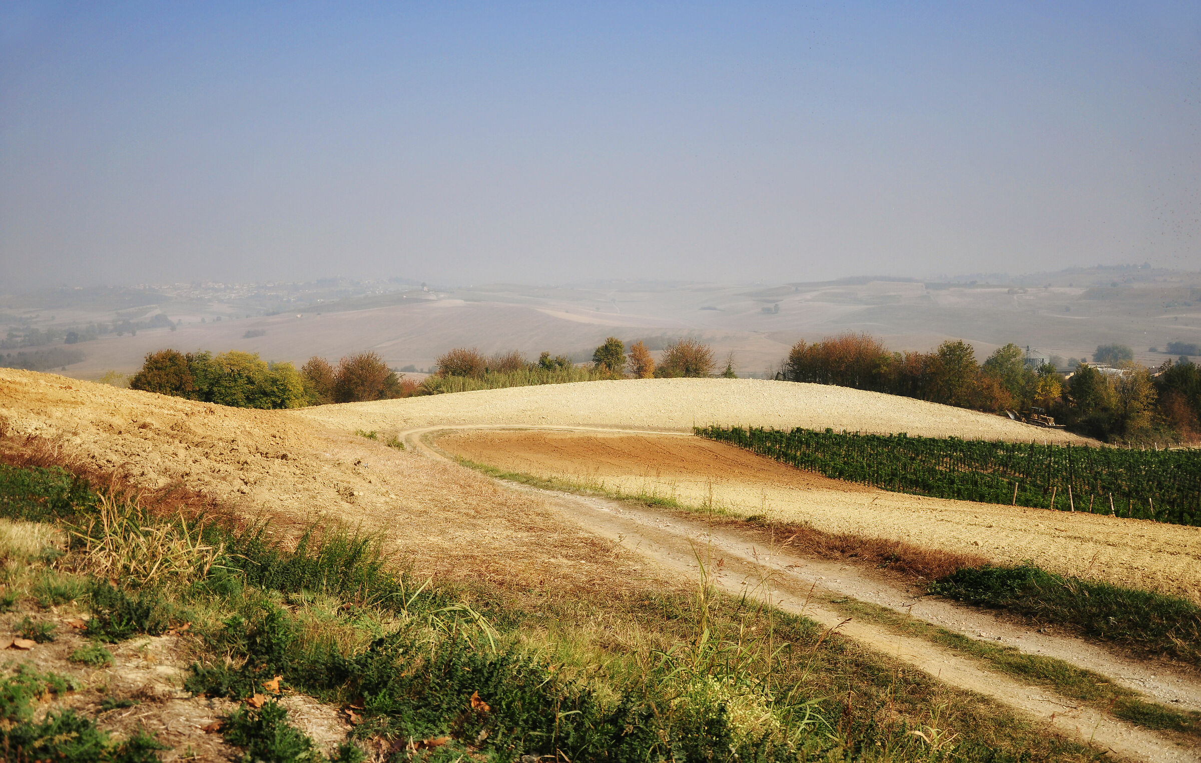 Langhe, patrimonio mondiale