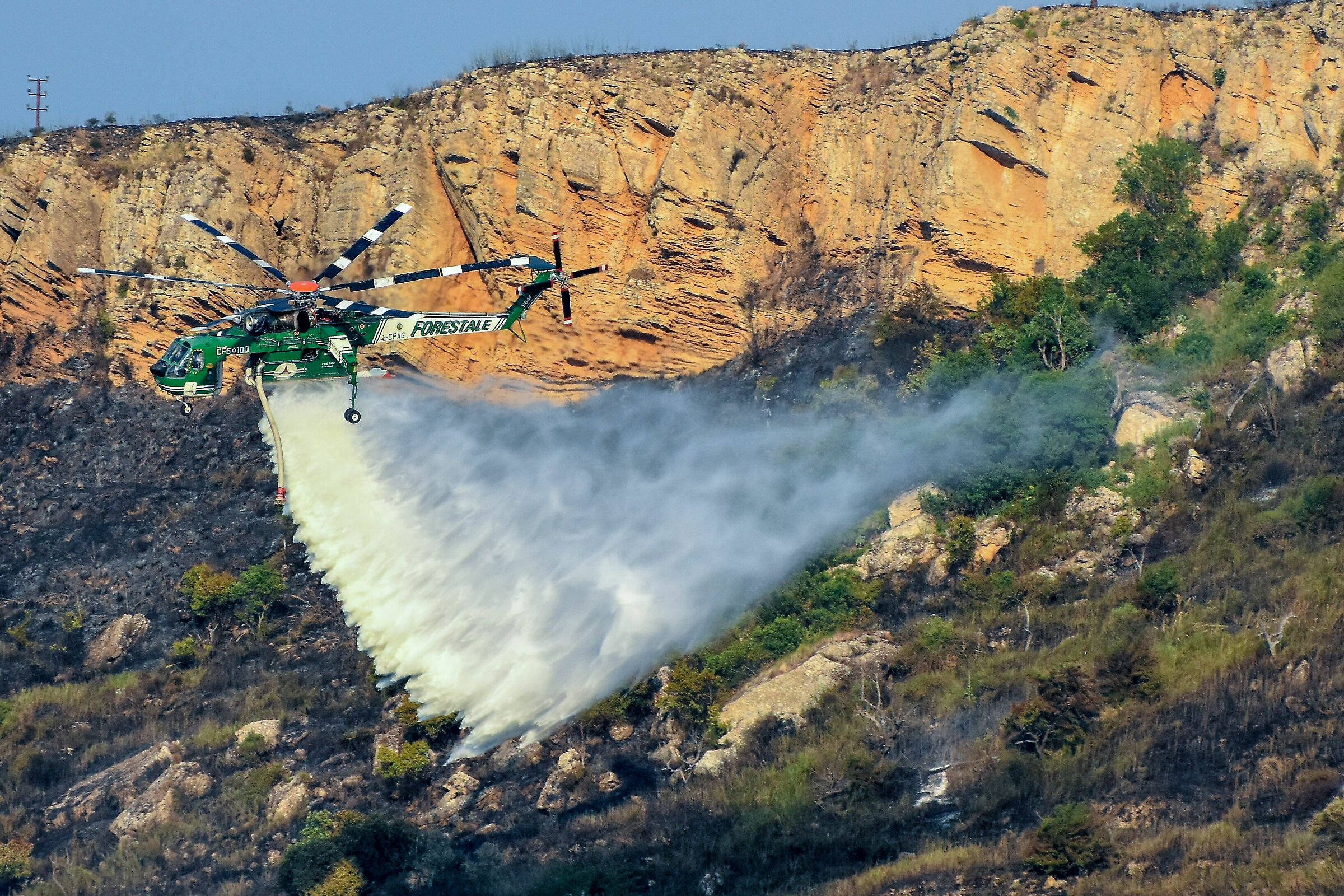 Lucky they're there!