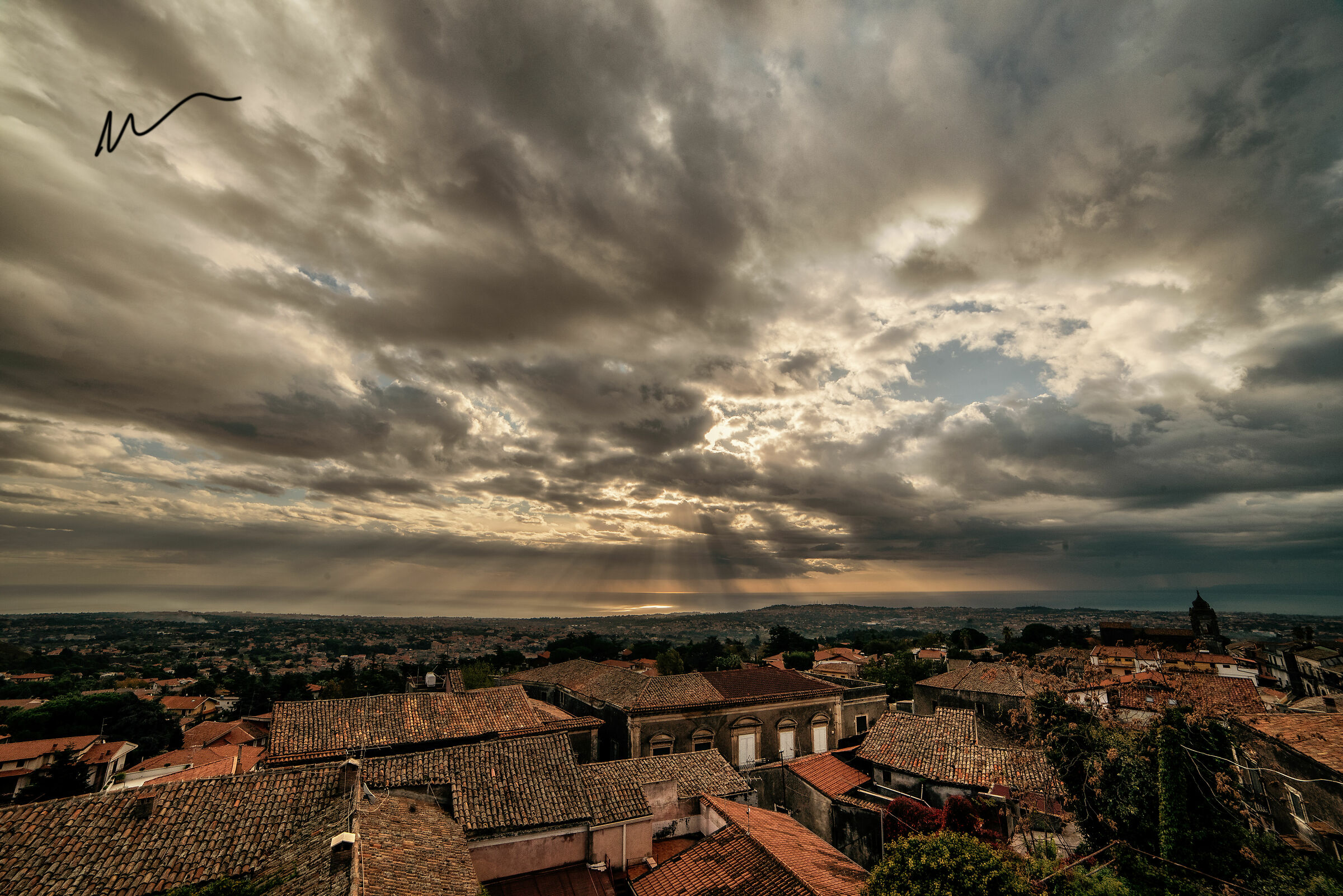 Like the Cats over the Roofs.