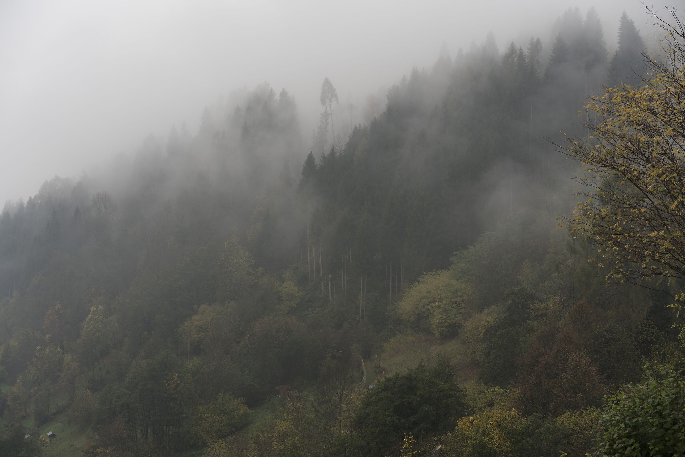 Autunno a Fiera di Primiero