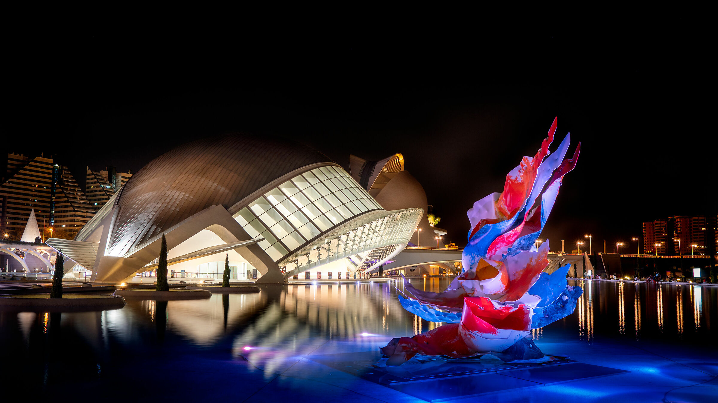 Luci notturne a Valencia