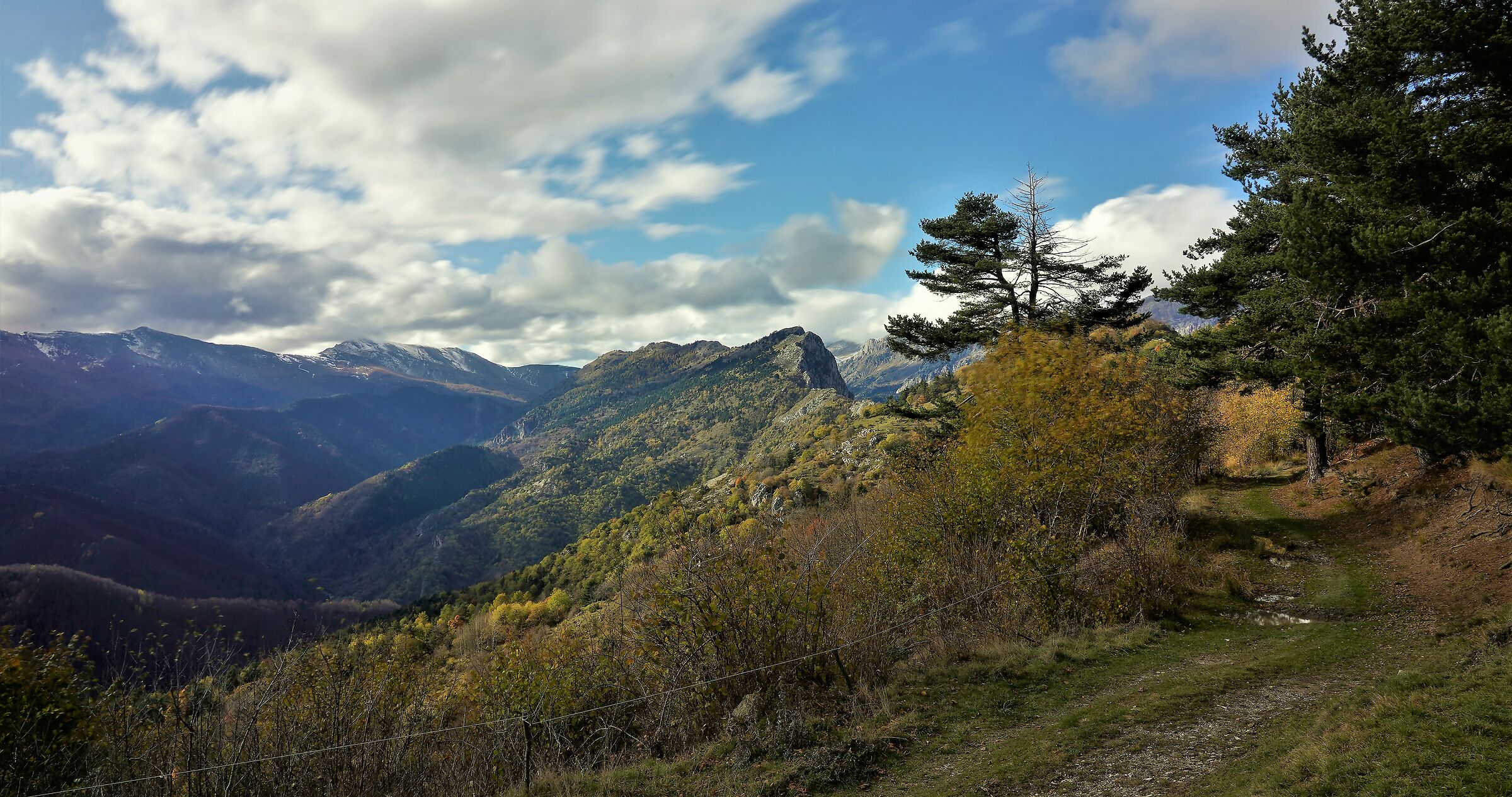 a forest, a road.... nothingness