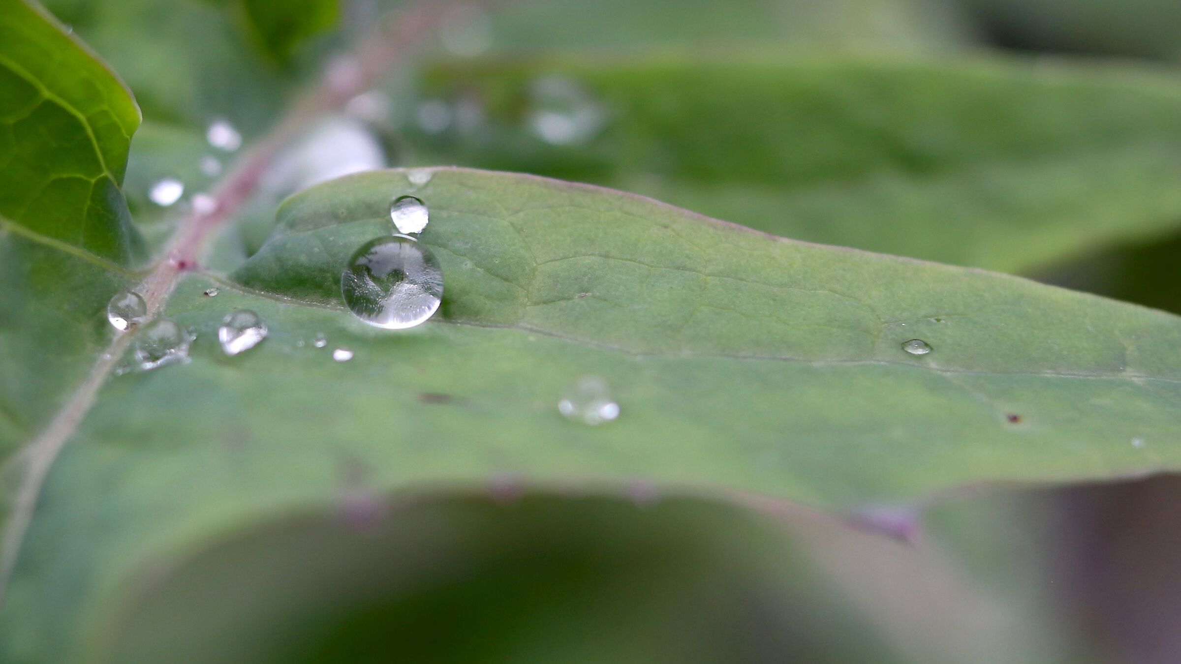 La vera artista è la natura