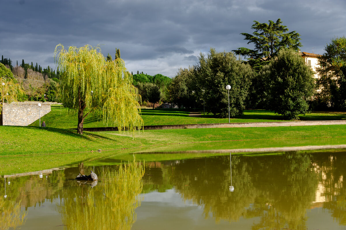 Il parco