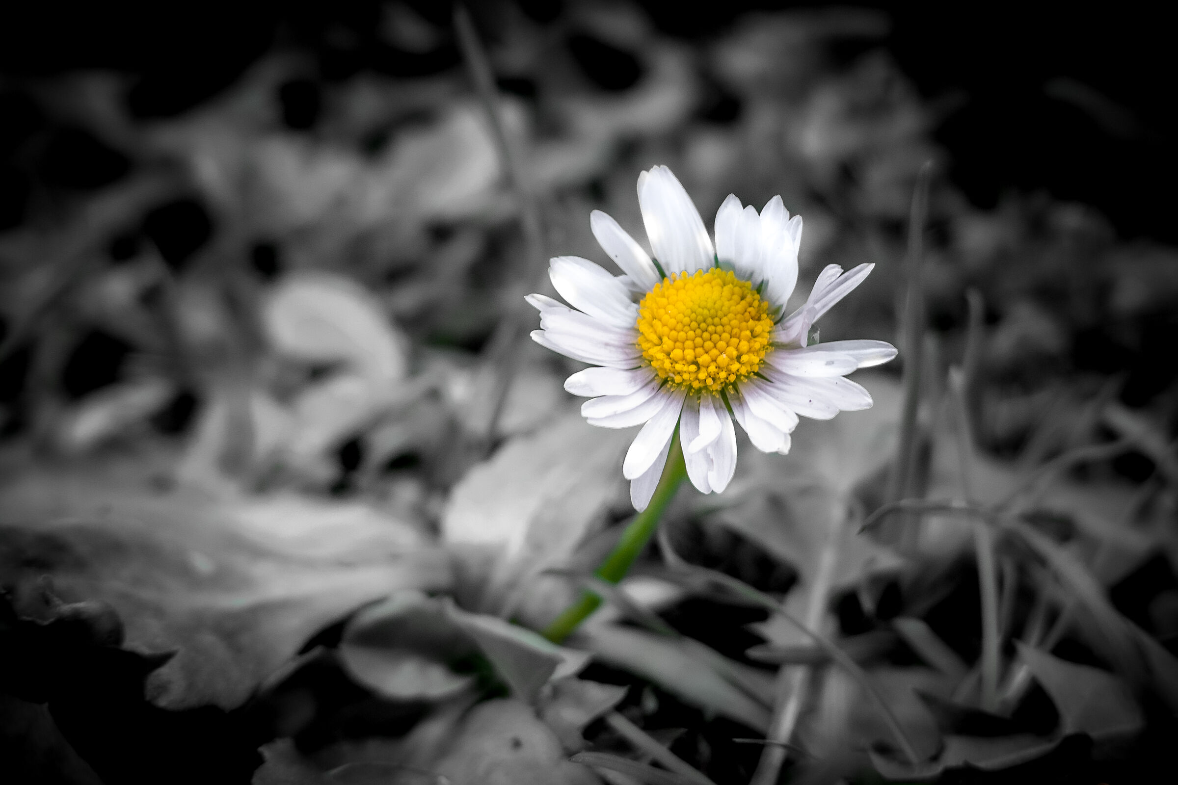 Untitled Photo