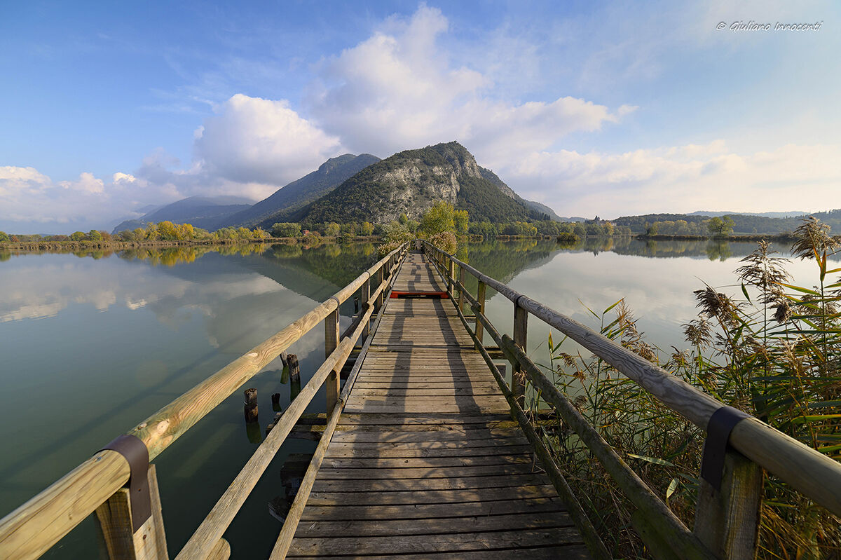 on the sebino peatland catwalk