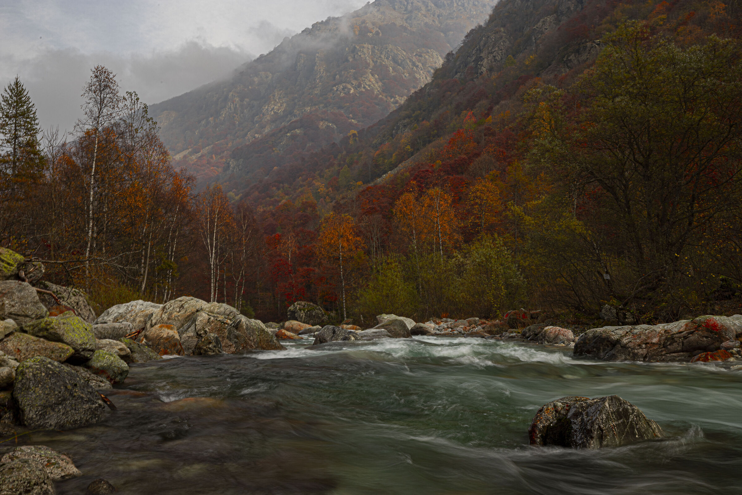 The colors of autumn...