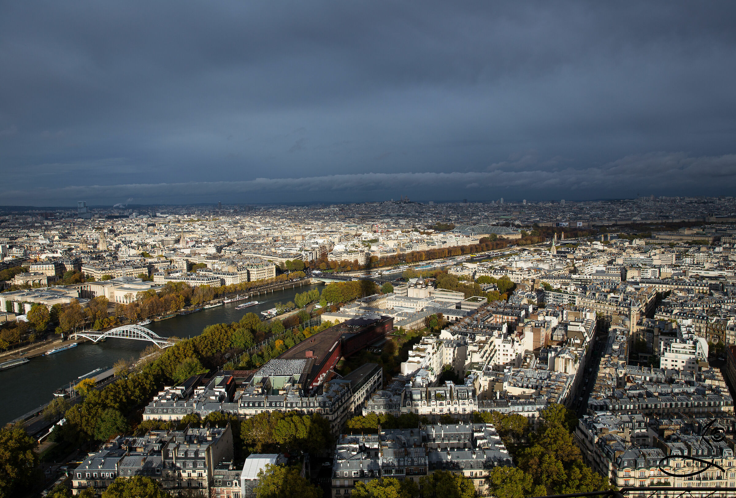 shadow of the monster