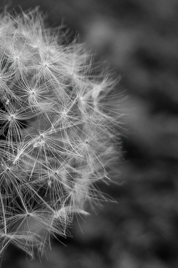 Untitled Photo