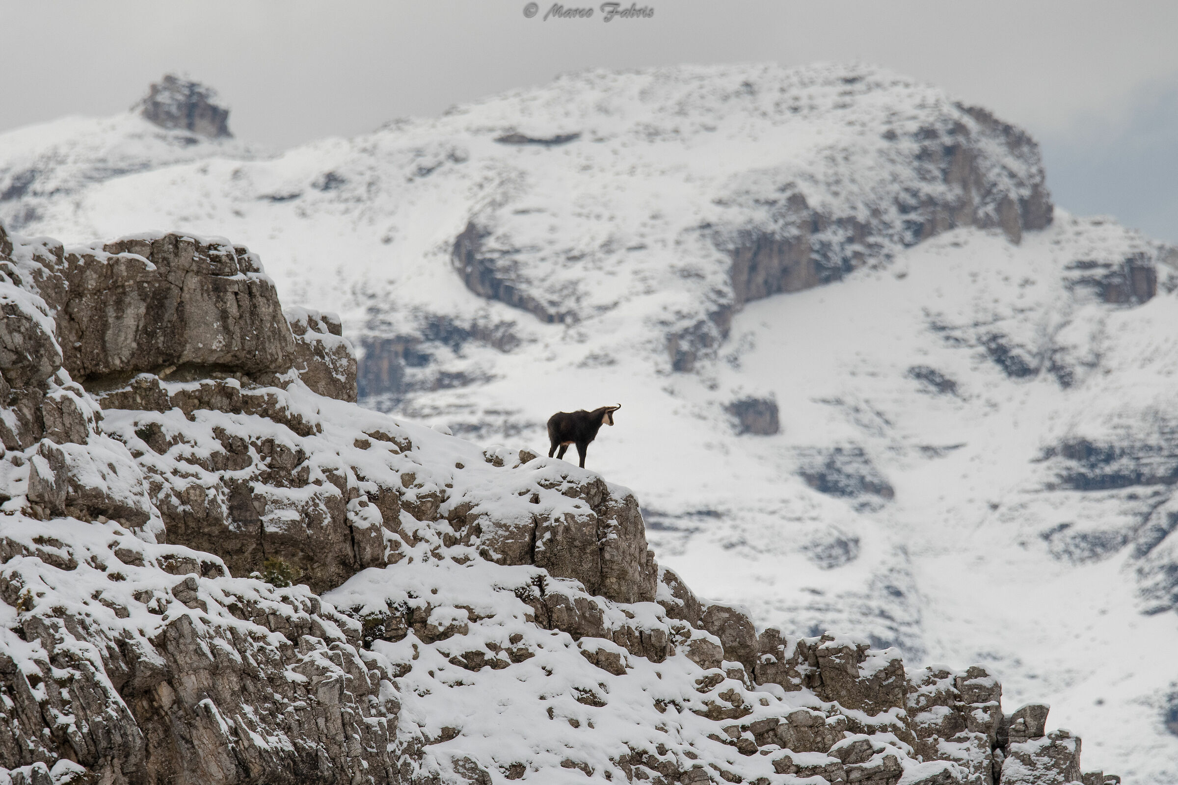 Looking from above...