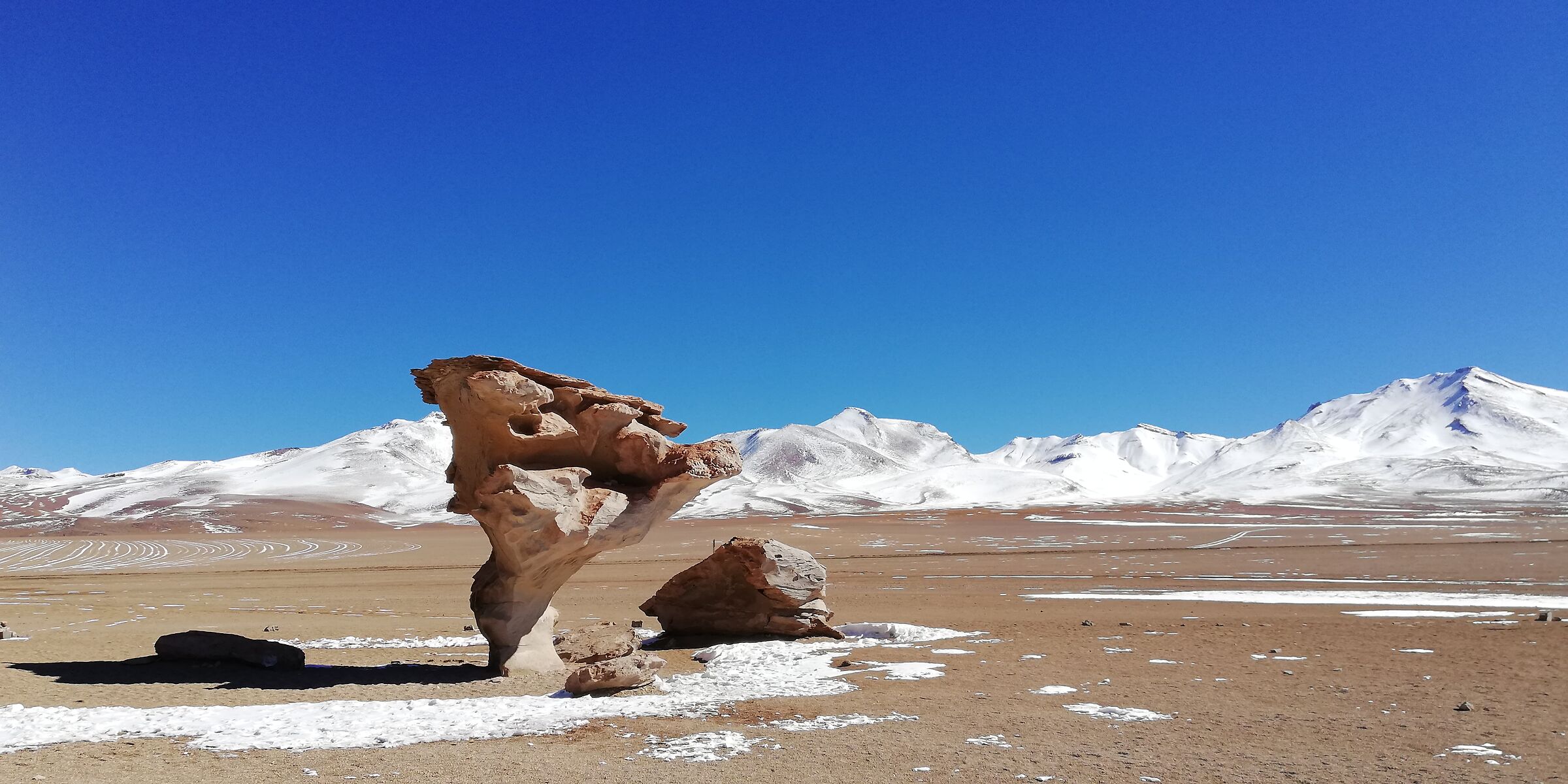 Albero di pietra, Bolivia