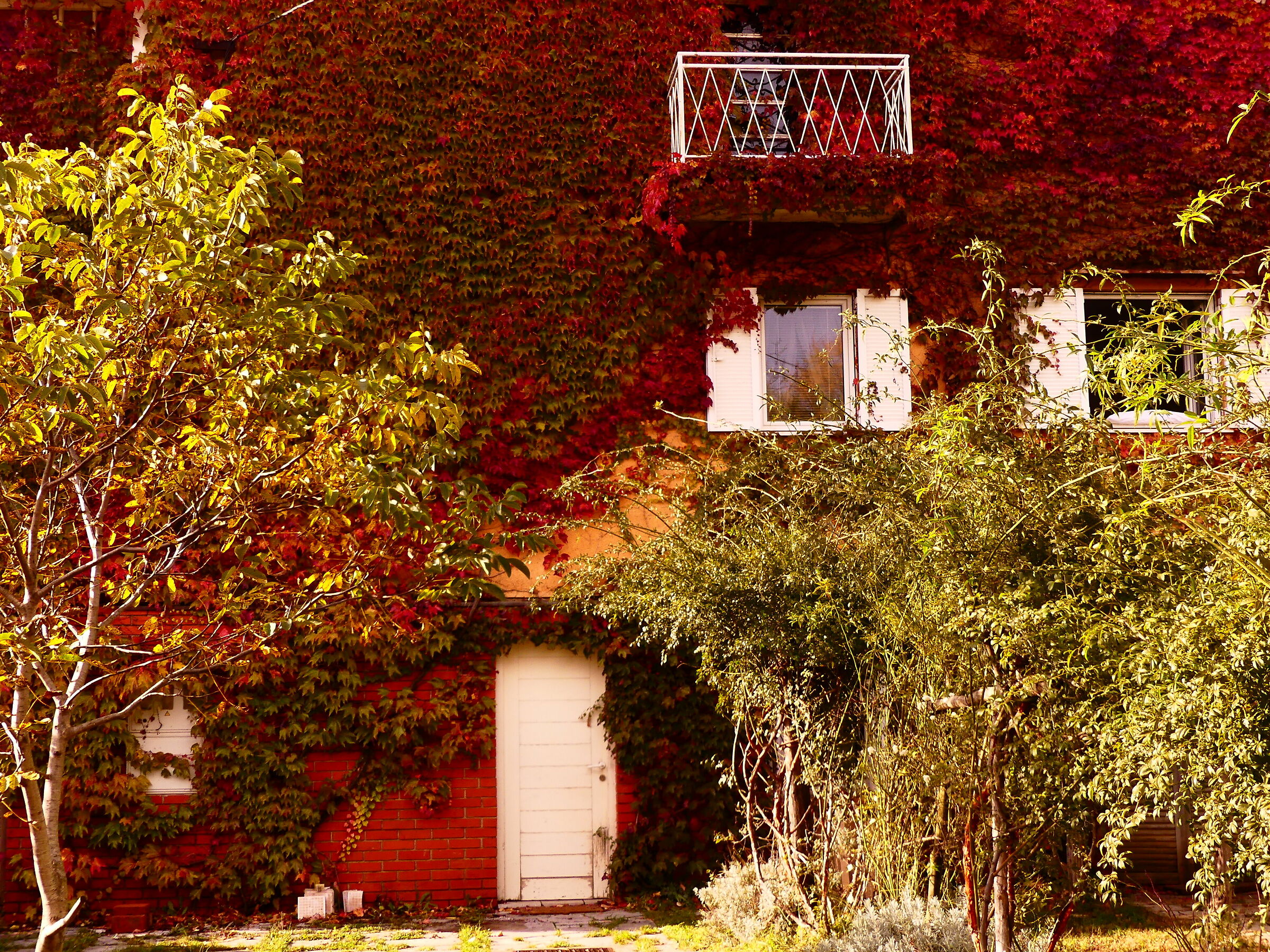 Autunno in Carso sloveno