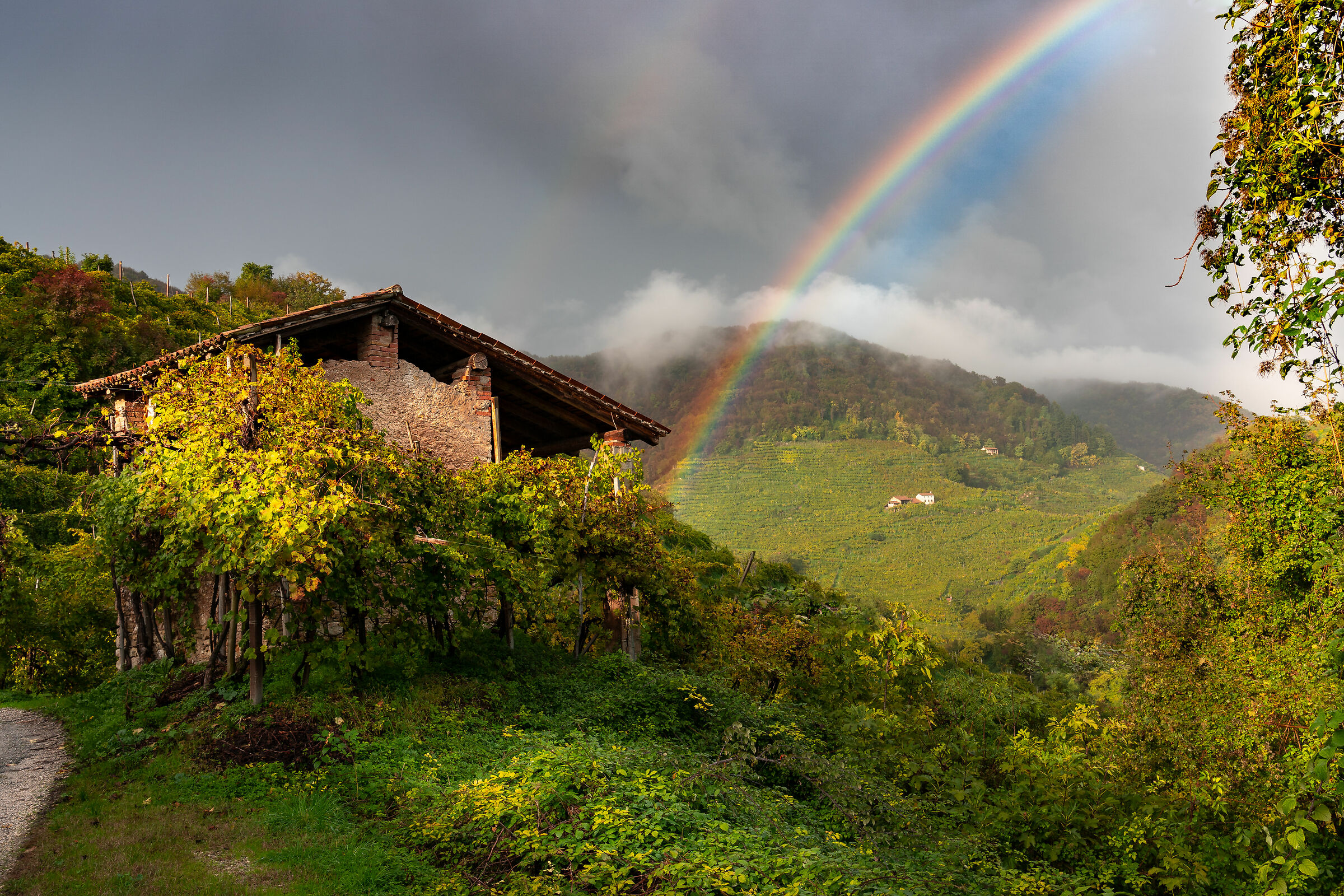 ... ci sarà la pentola piena di monete d'oro?