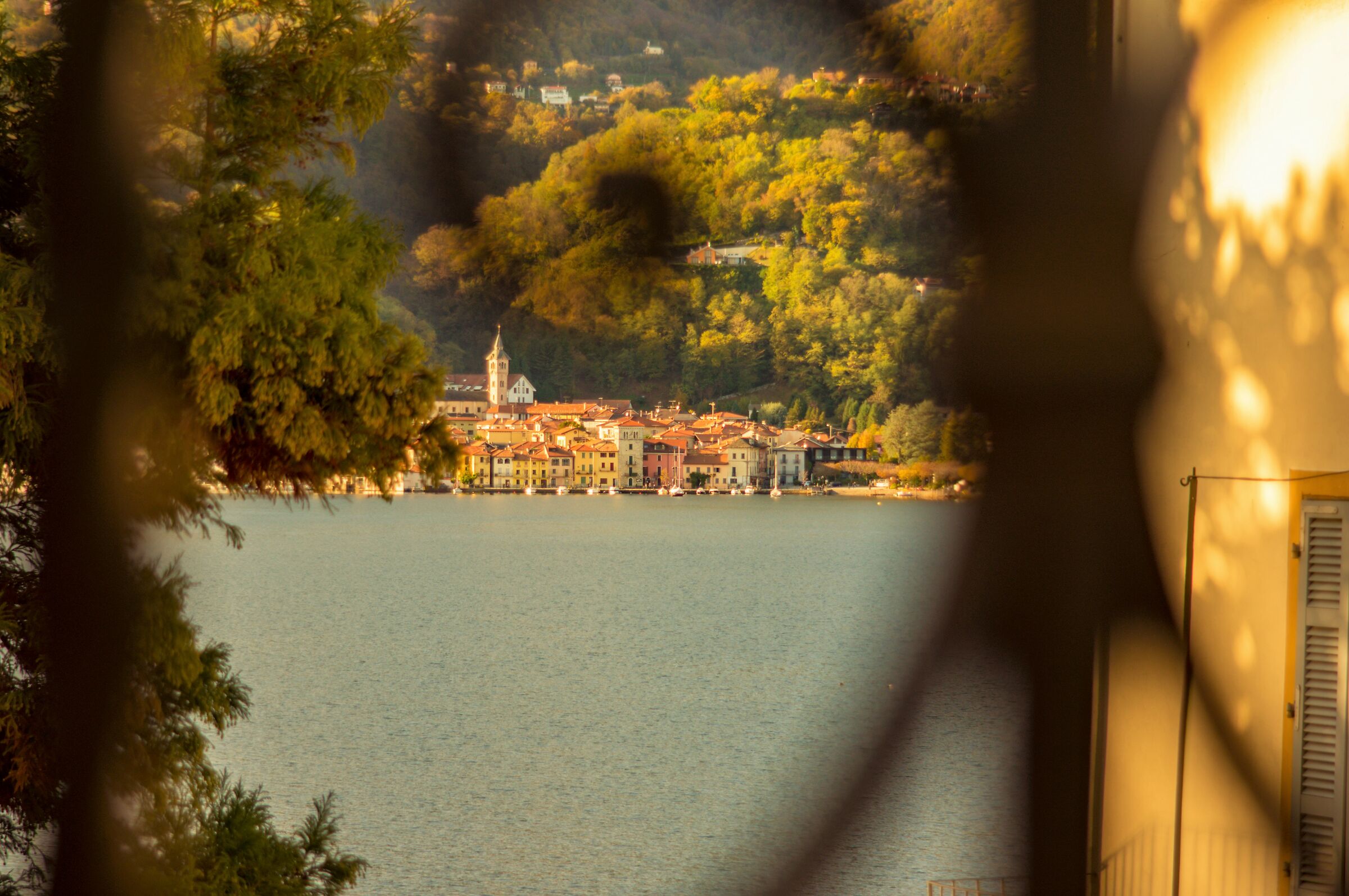From the island of St. Julius