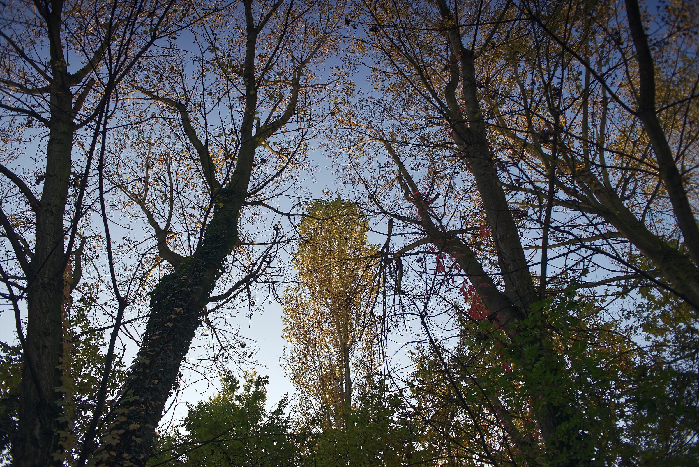 La luce dell'autunno