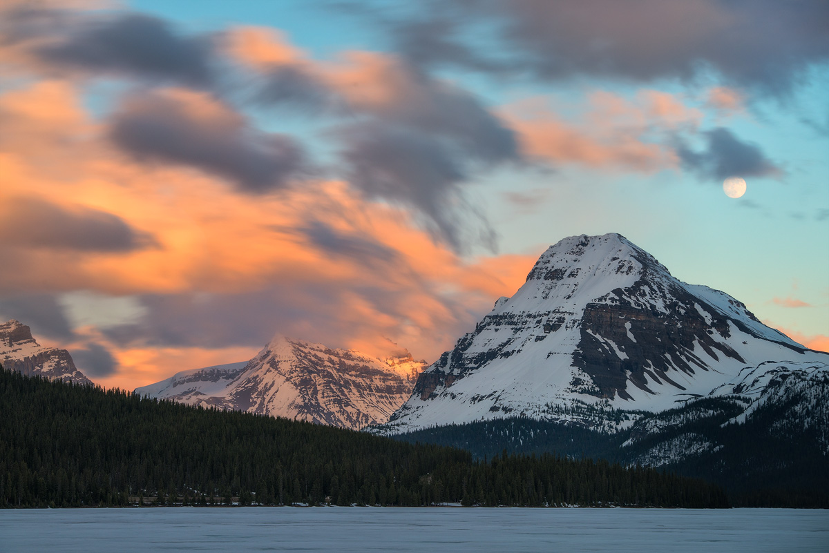 Bow Lake, Icefield Parkway, AB