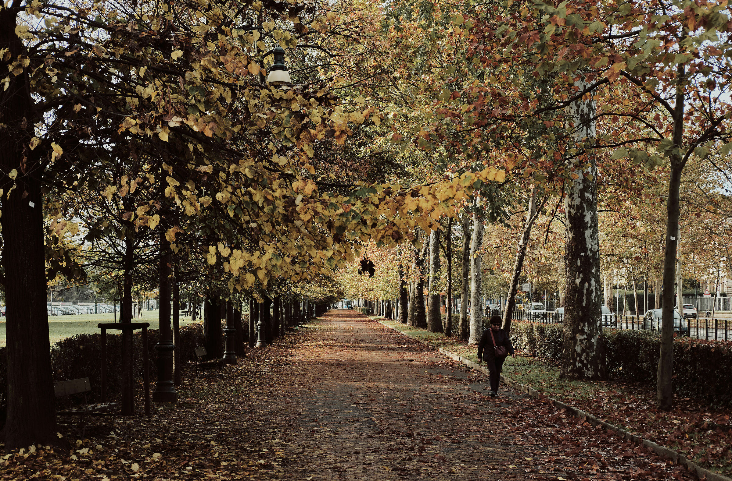 L'autunno si fa strada