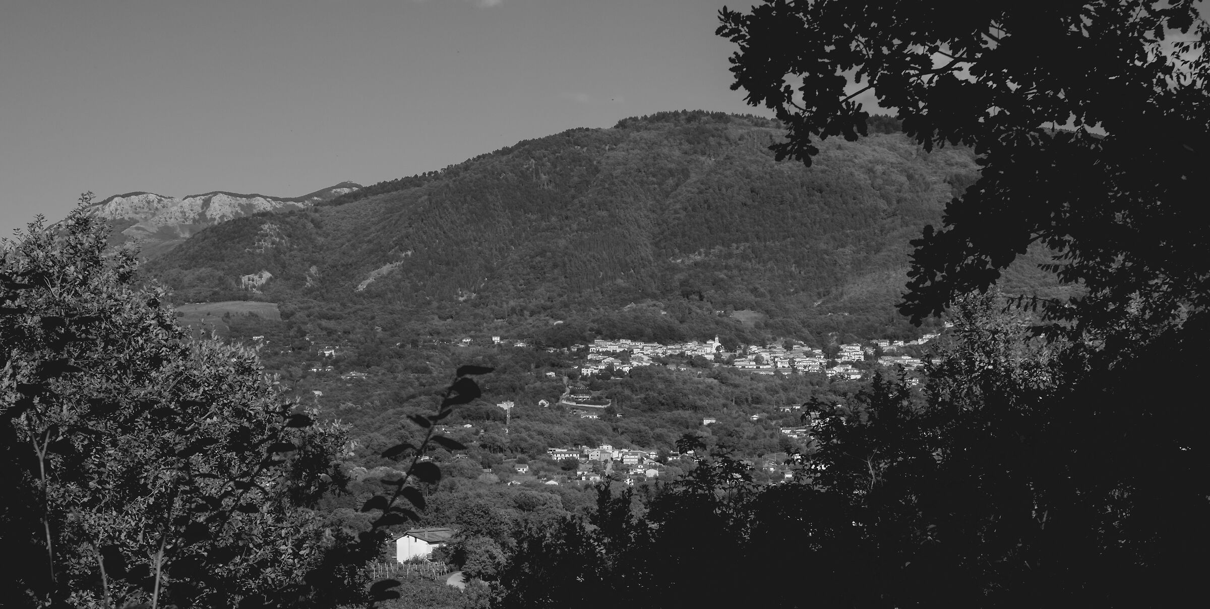 untitled