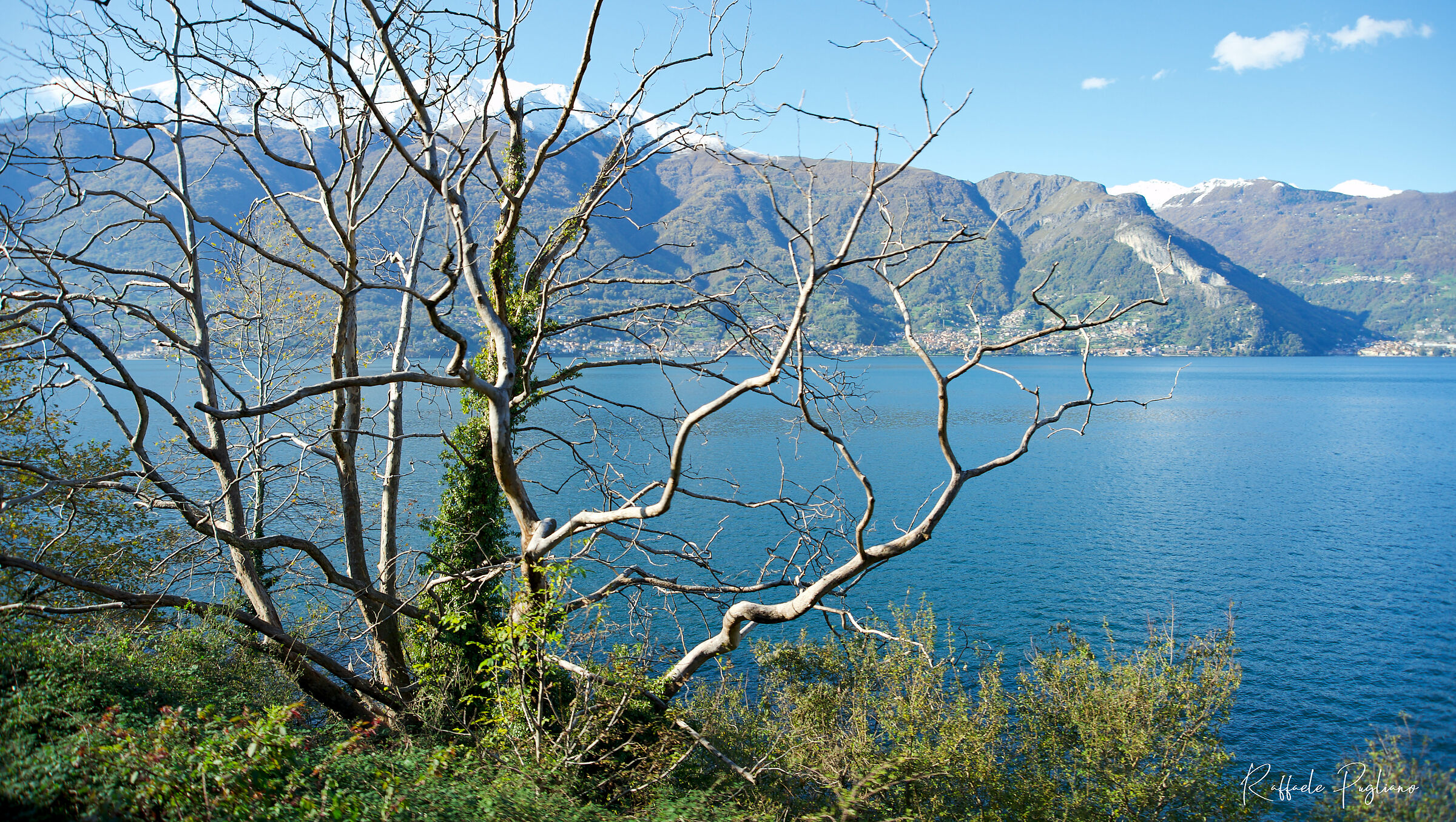 Dervio - shot from the running train - Lake Como