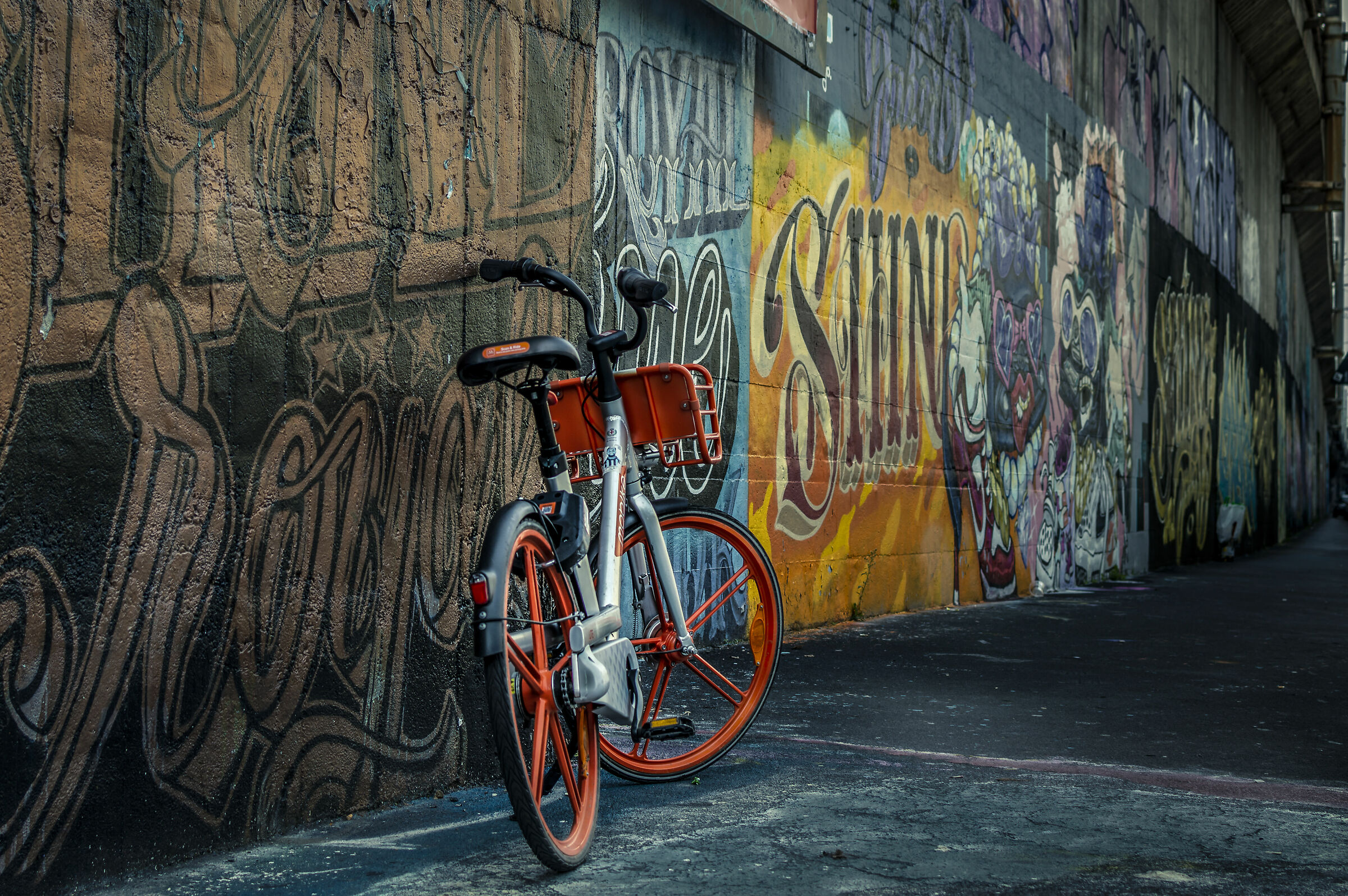 Mobilità alternativa