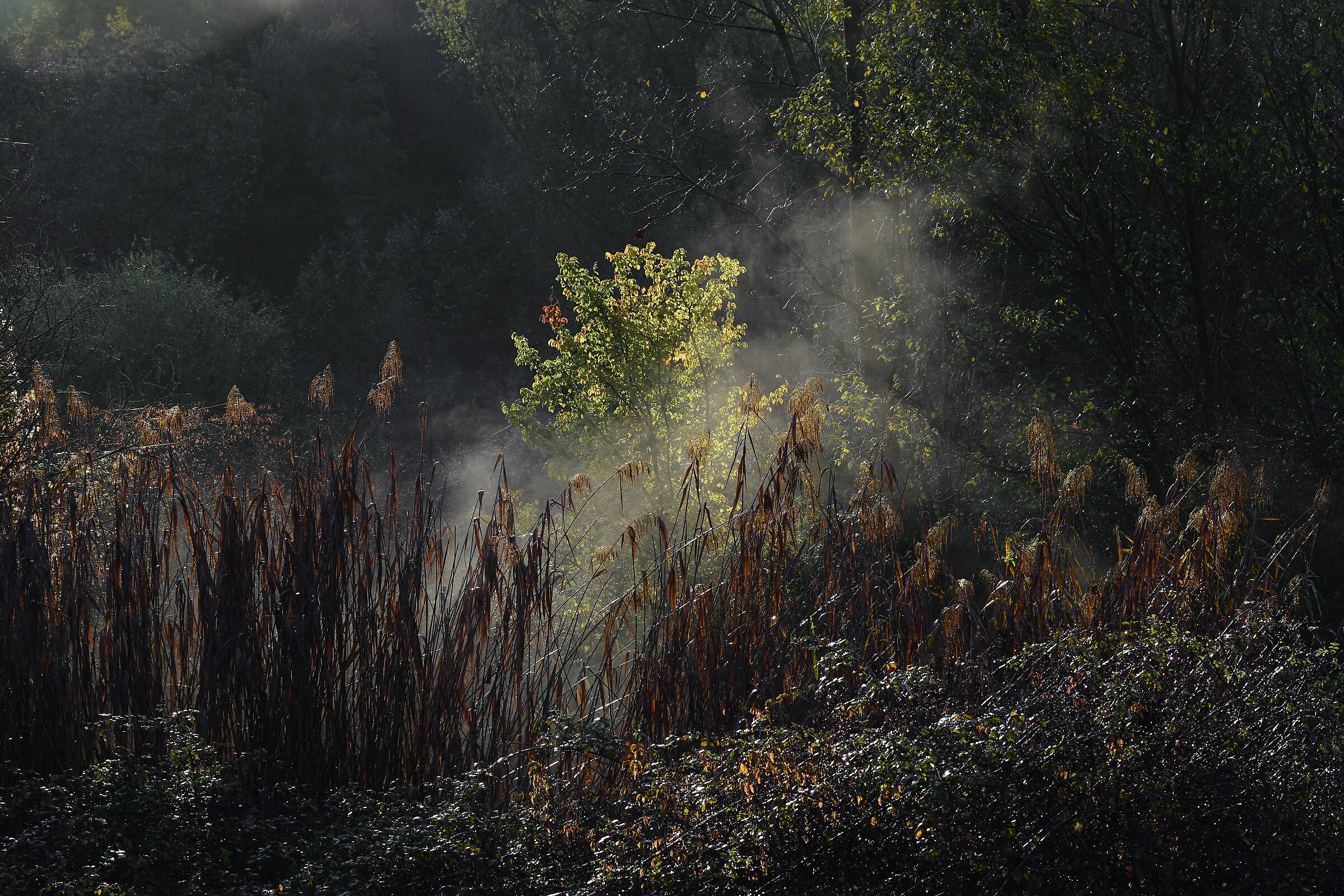 alle prime luci dell'alba dopo giorni di pioggia