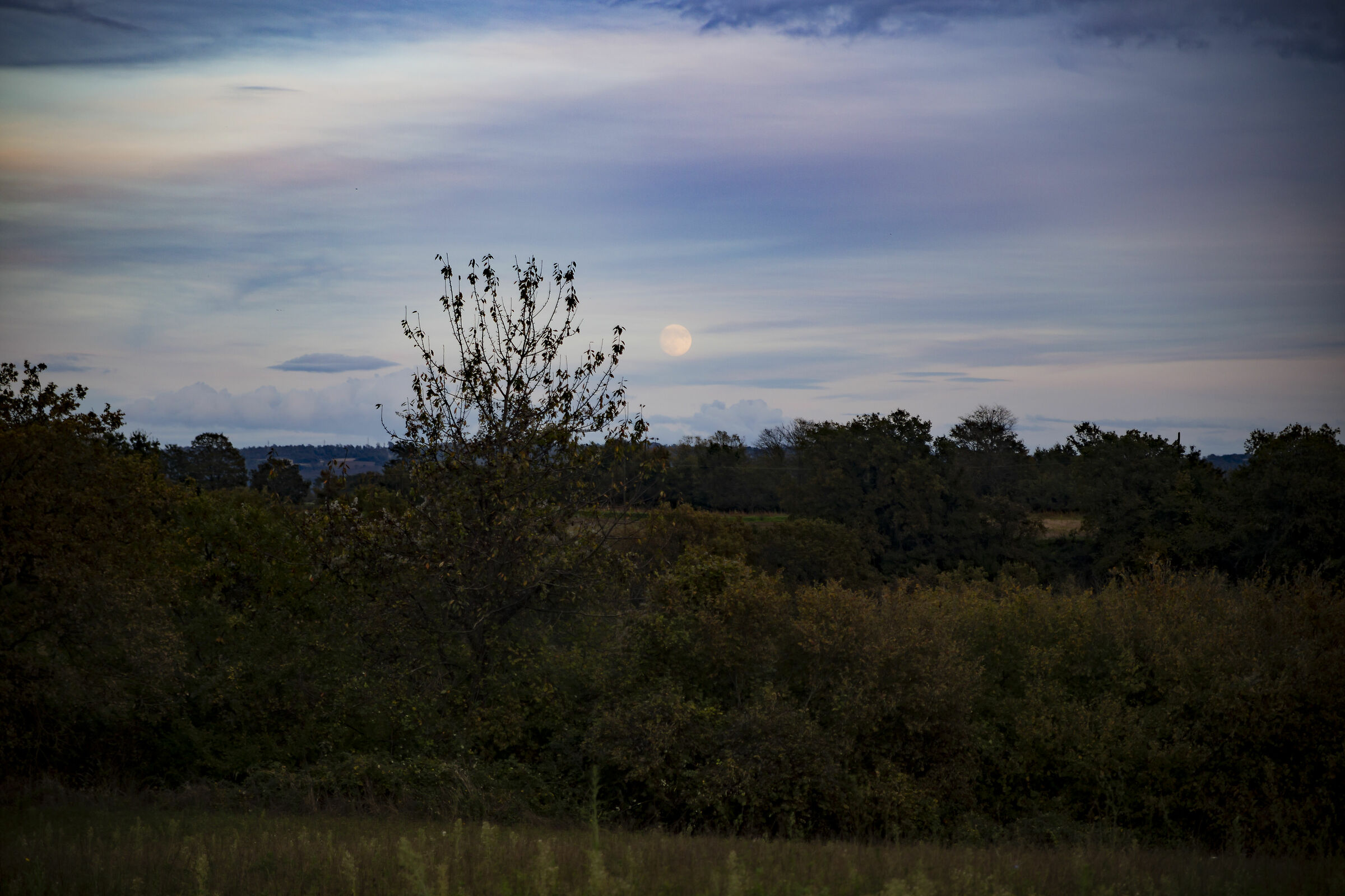 crepuscolo autunnale