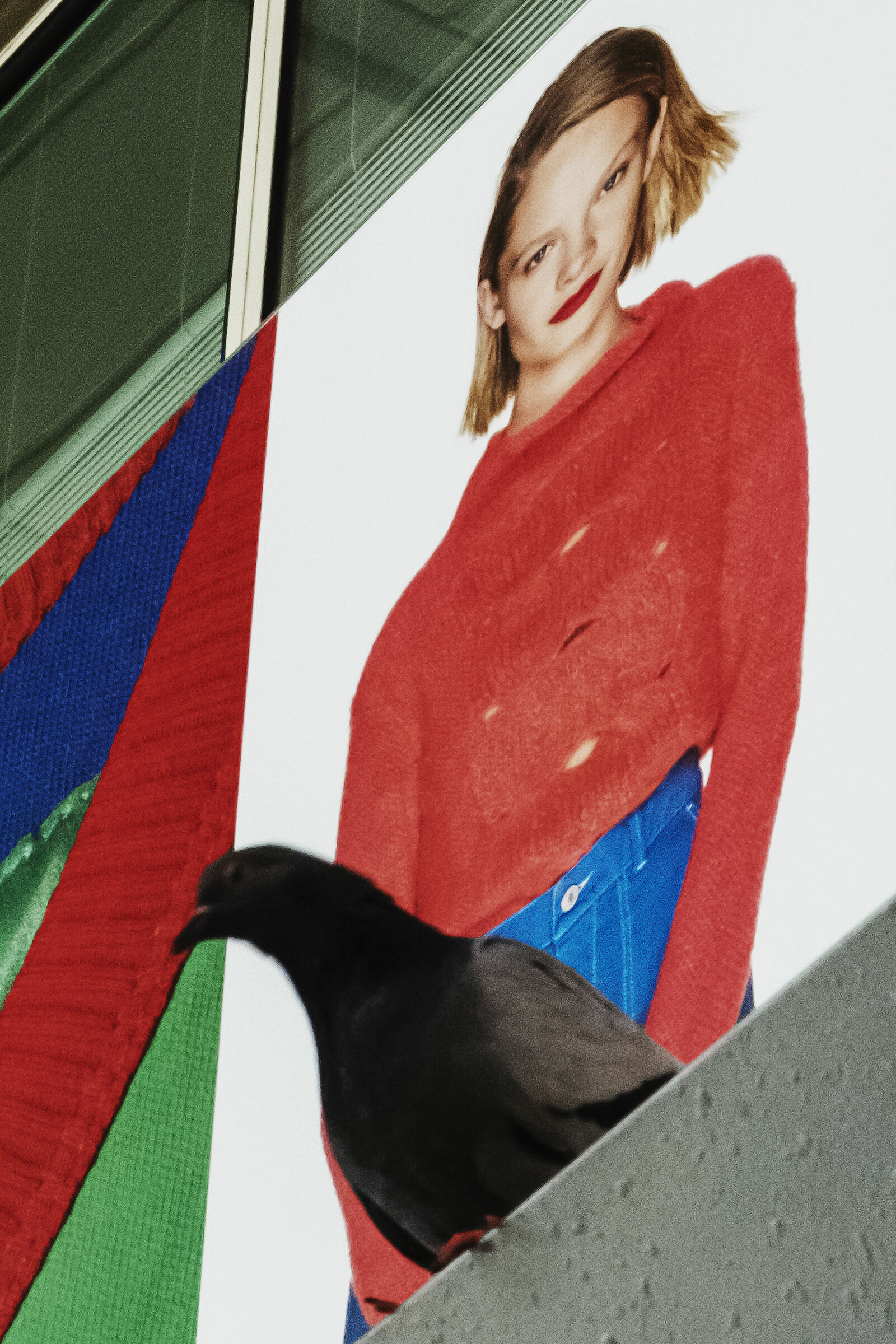 Piccione, Termini, Roma 2019