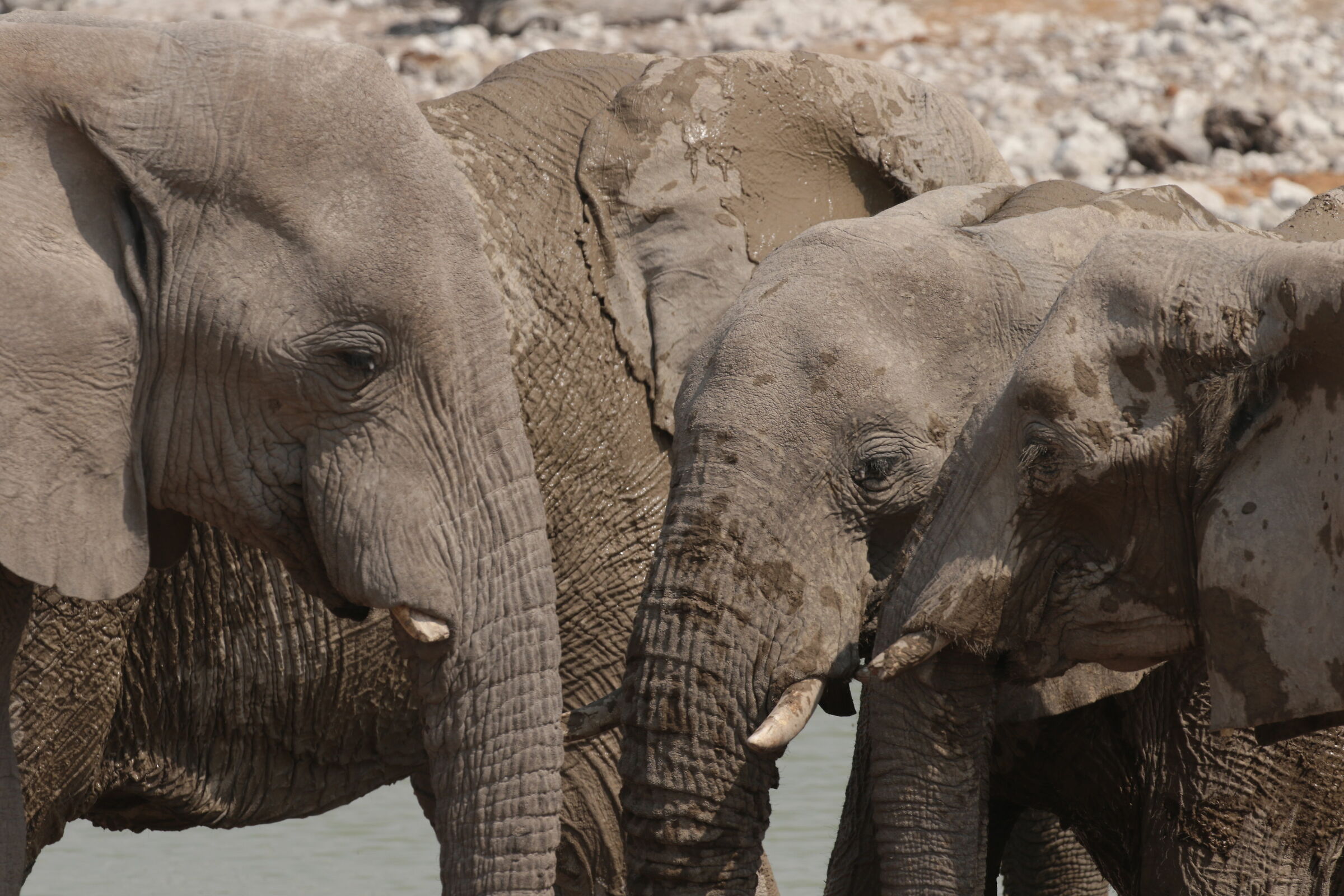 namibia