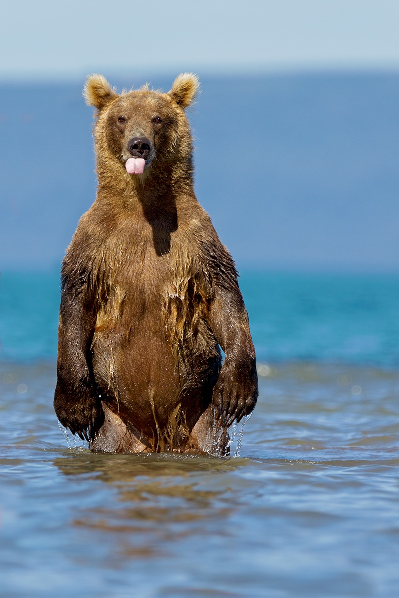 Prrrrrrrrrrrrrrrrrrrrrrrrrrrrrrrrrrrrrrrrrr