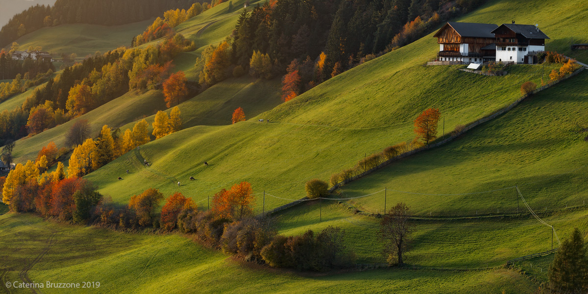 Posizione privilegiata