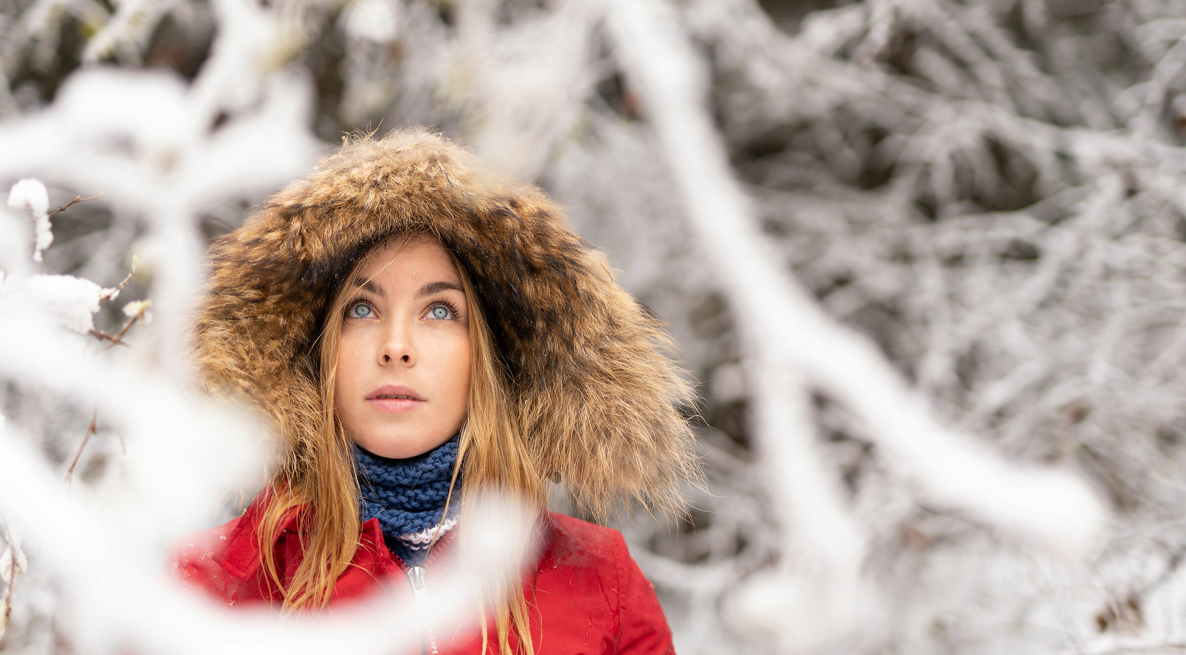 I shut my eyes in order to see.