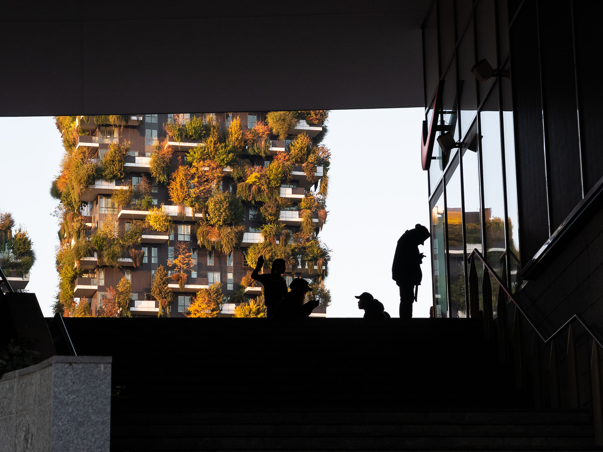 silhouette - Vertical Forest