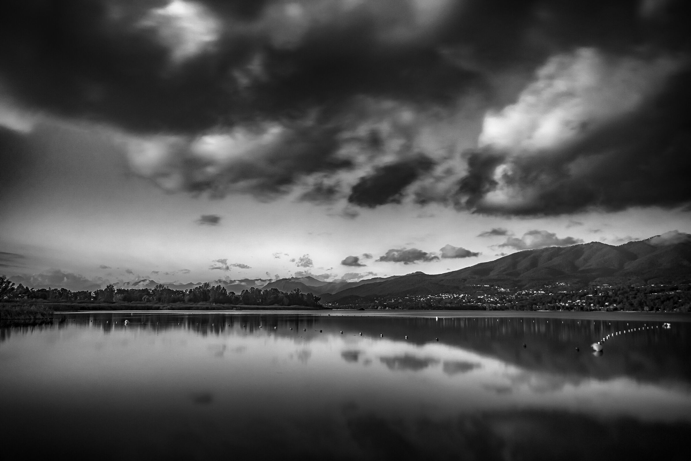 Untitled Photo
