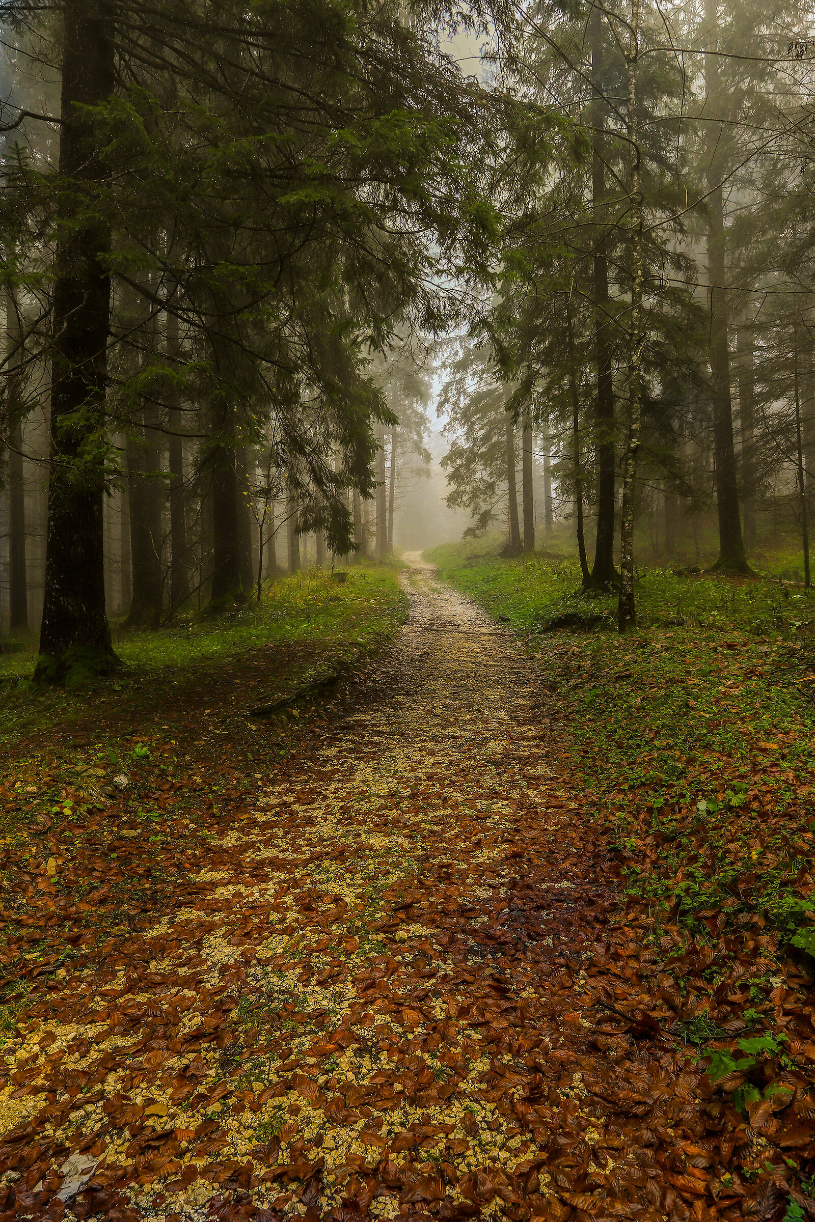 Route Rouge, California