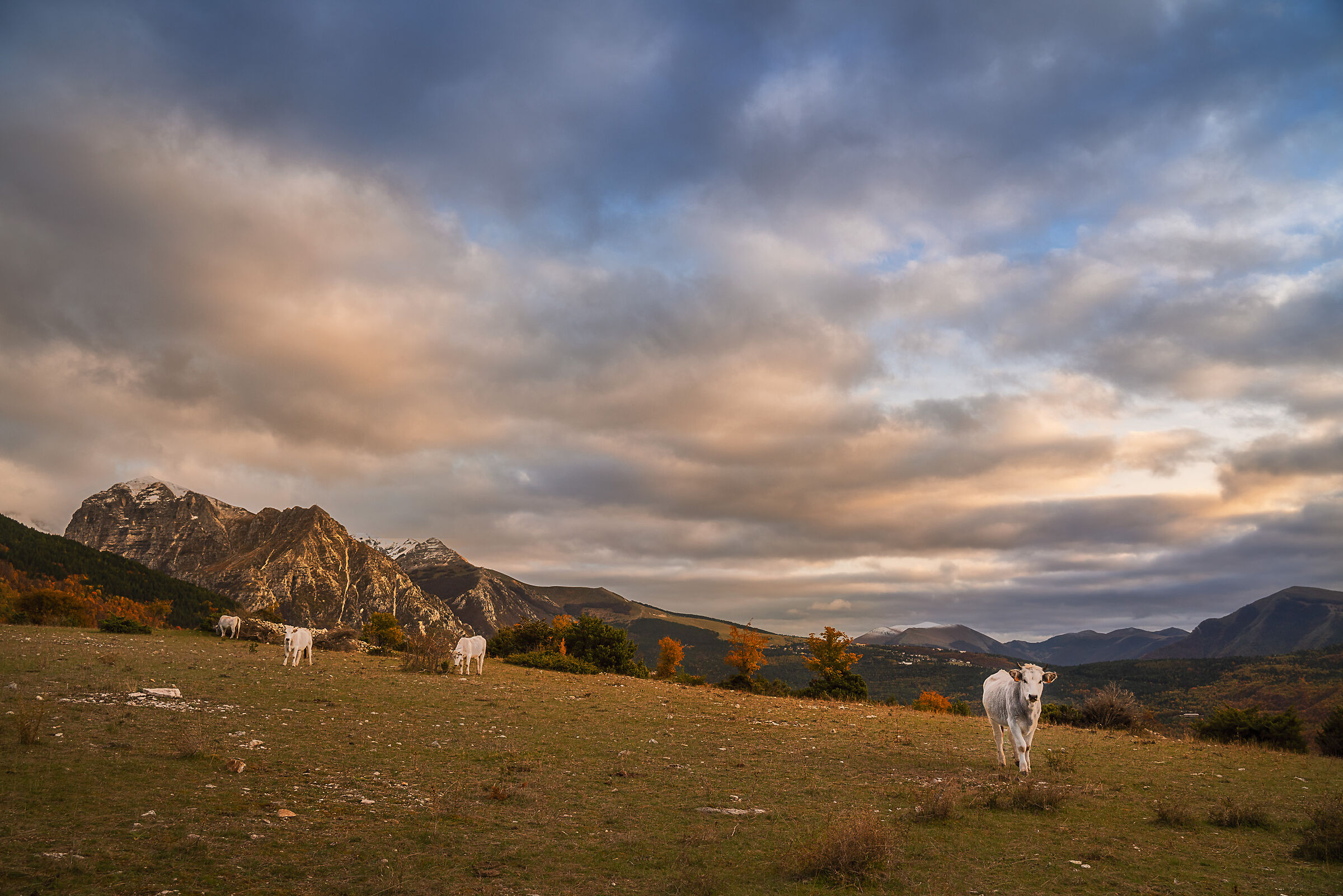 first snow on the Sibyls